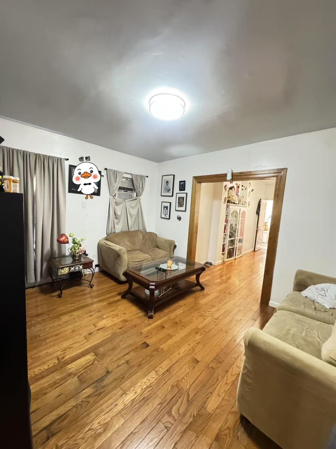 Single Family Forley  Queens, NY 11373, MLS-875208-4