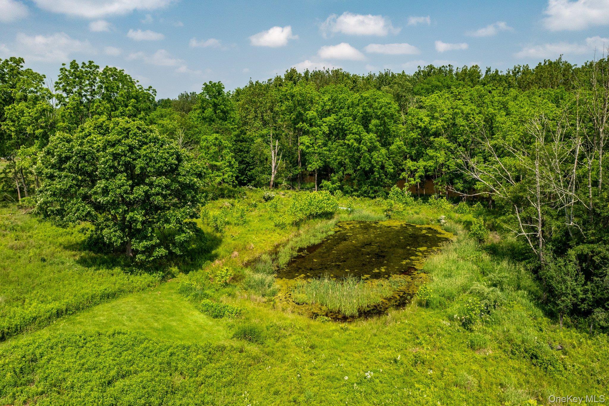 Single Family Scotchtown  Orange County, NY 10941, MLS-875217-39