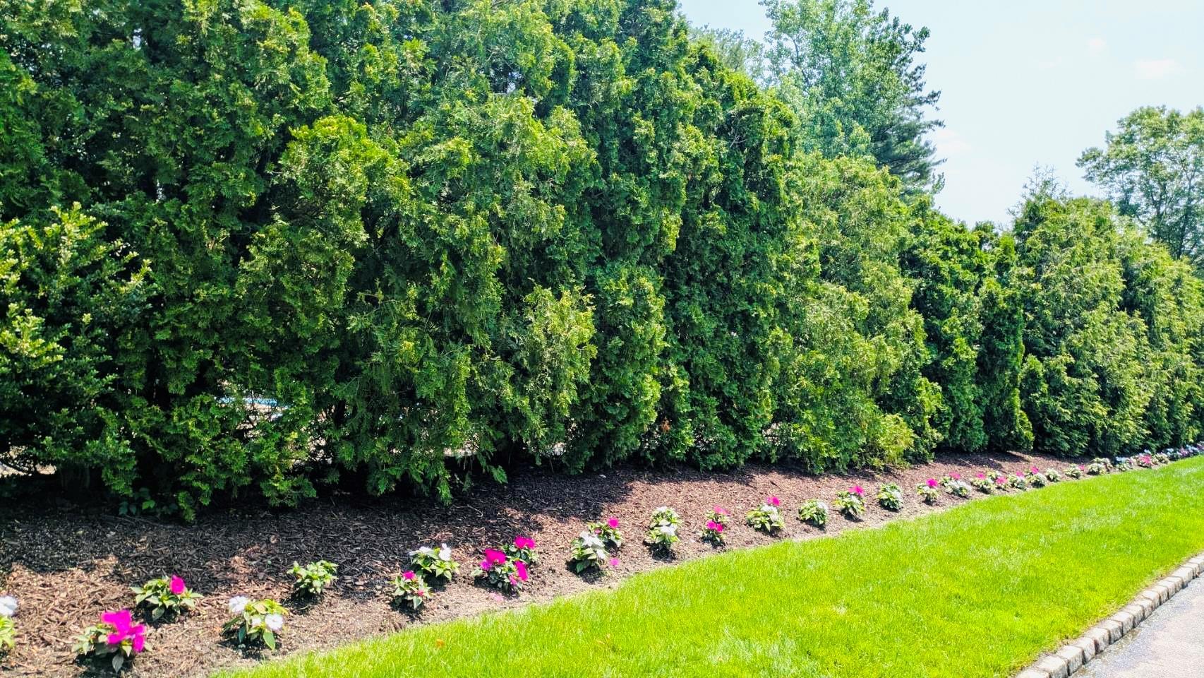 Condo Yale Drive  Nassau County, NY 11030, MLS-875255-24