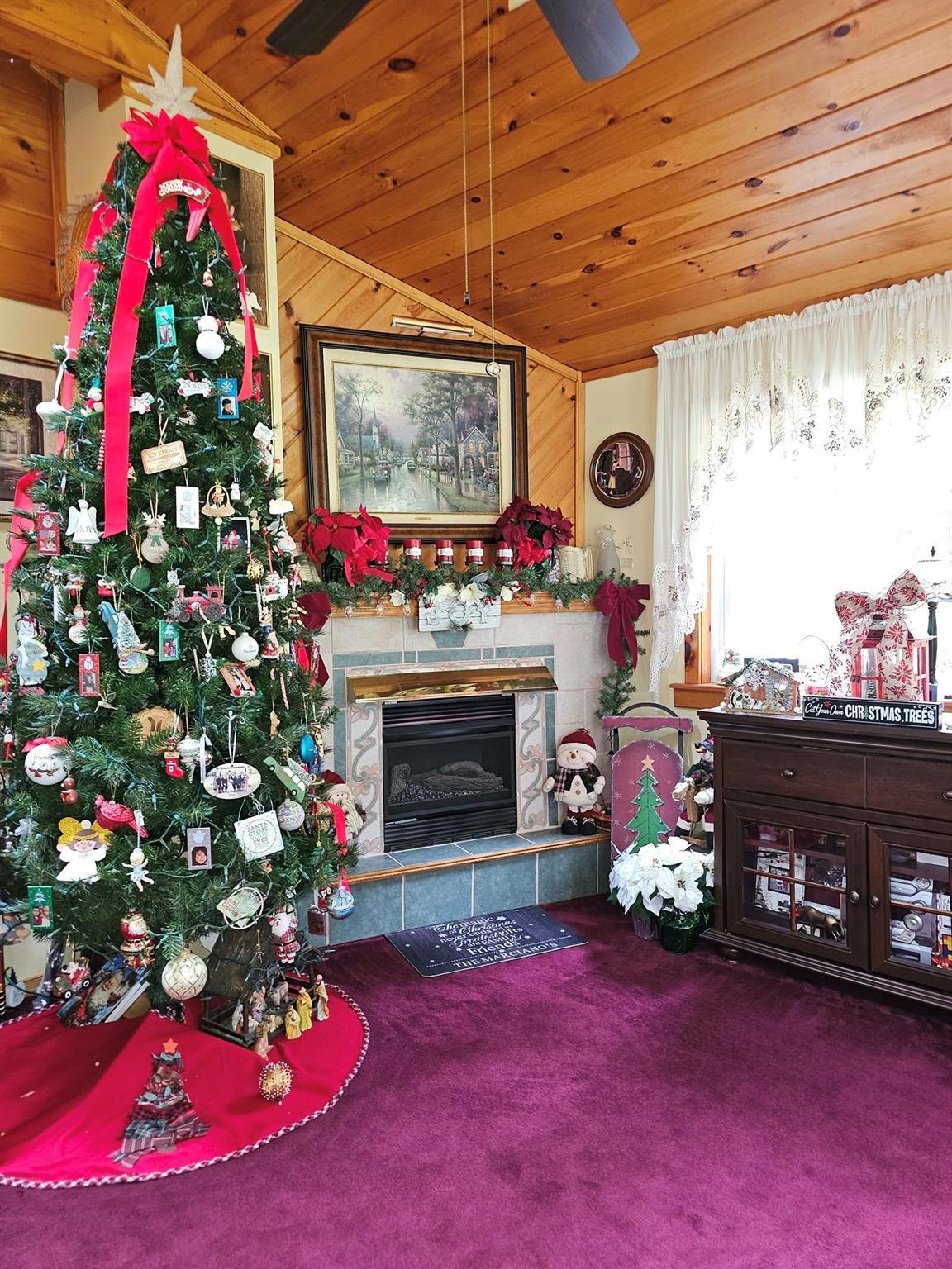 Single Family County Rd 21 (yulan Barryville)  Sullivan County, NY 12719, MLS-875409-15