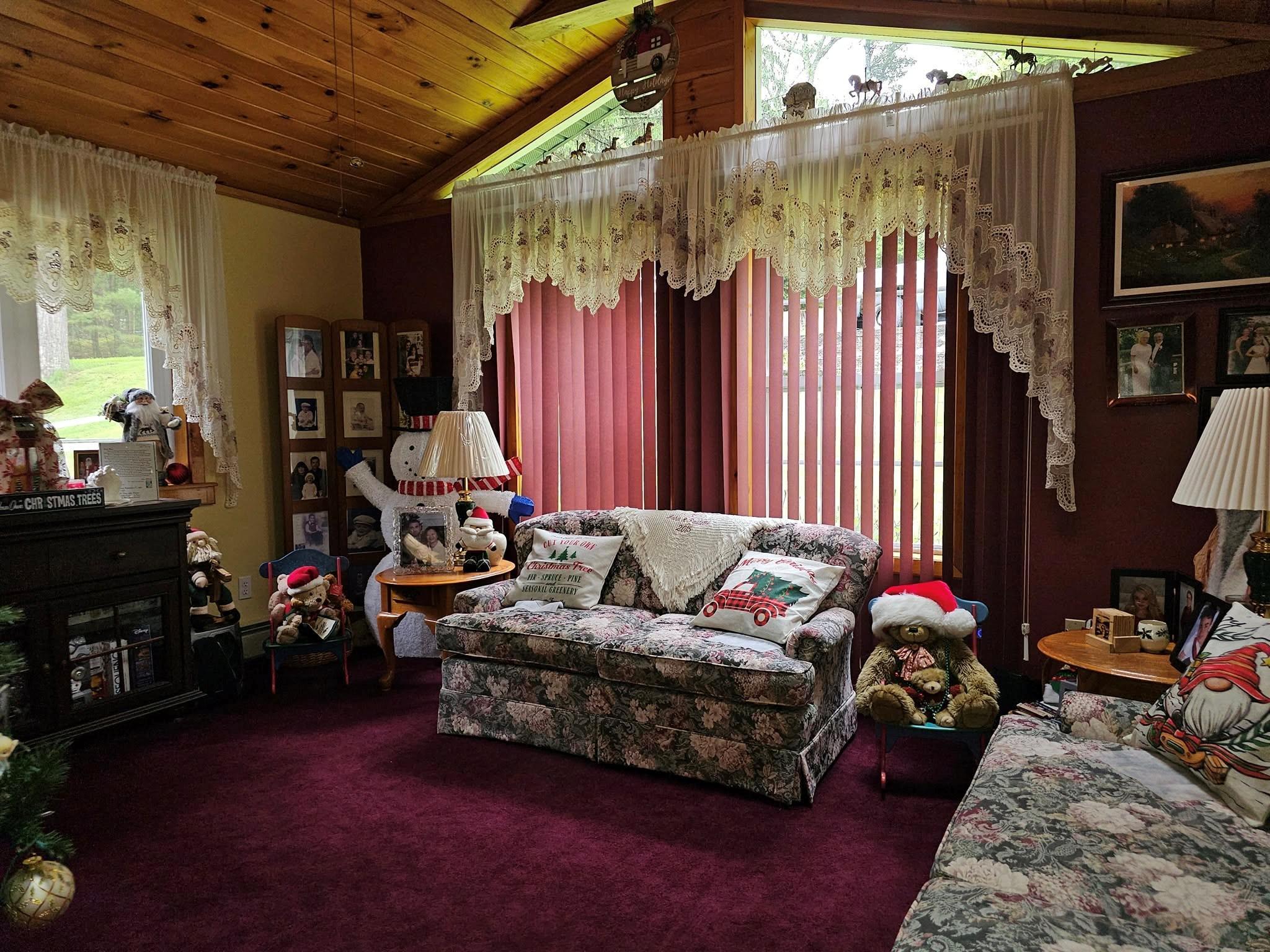 Single Family County Rd 21 (yulan Barryville)  Sullivan County, NY 12719, MLS-875409-16