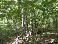 Single Family Bean River  Dutchess County, NY 12567, MLS-875541-25
