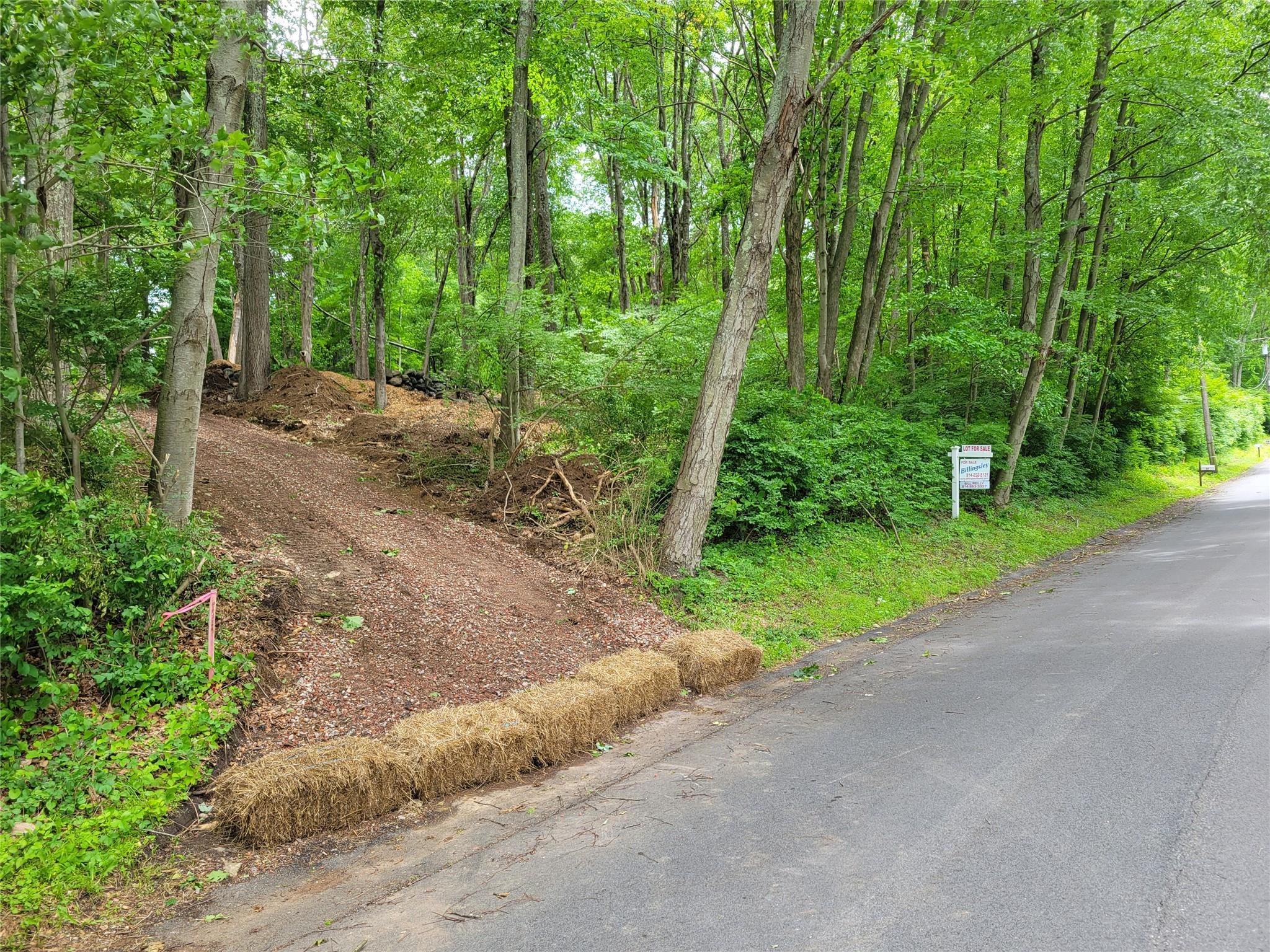 Single Family Carolyn  Westchester County, NY 10589, MLS-875676-2