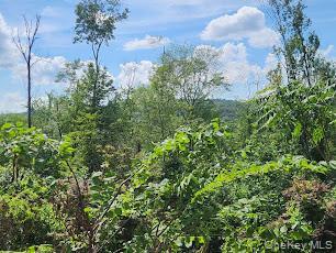 Single Family Westview  Westchester County, NY 10560, MLS-875698-22