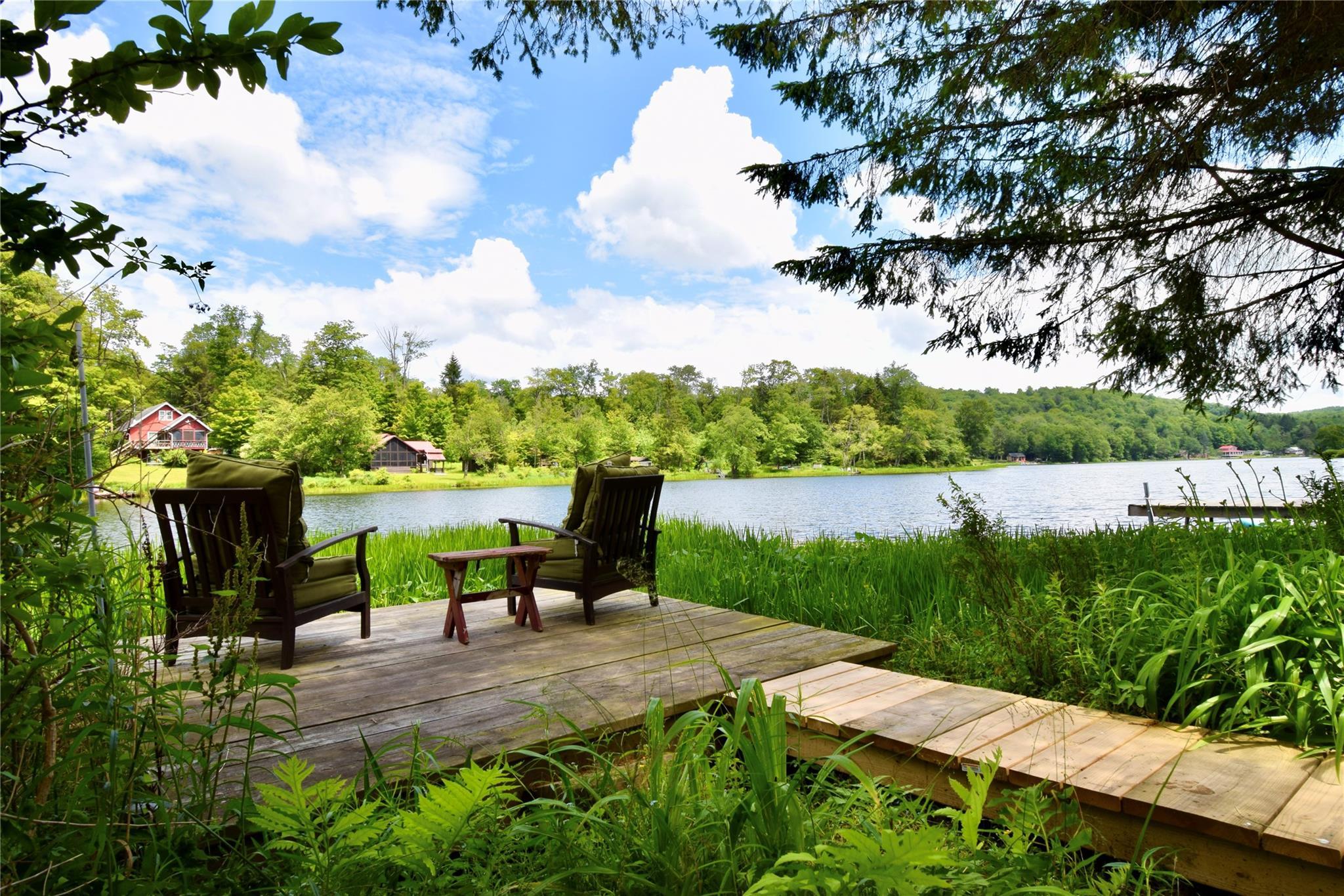 Single Family Trout Brook  Sullivan County, NY 12736, MLS-875764-16
