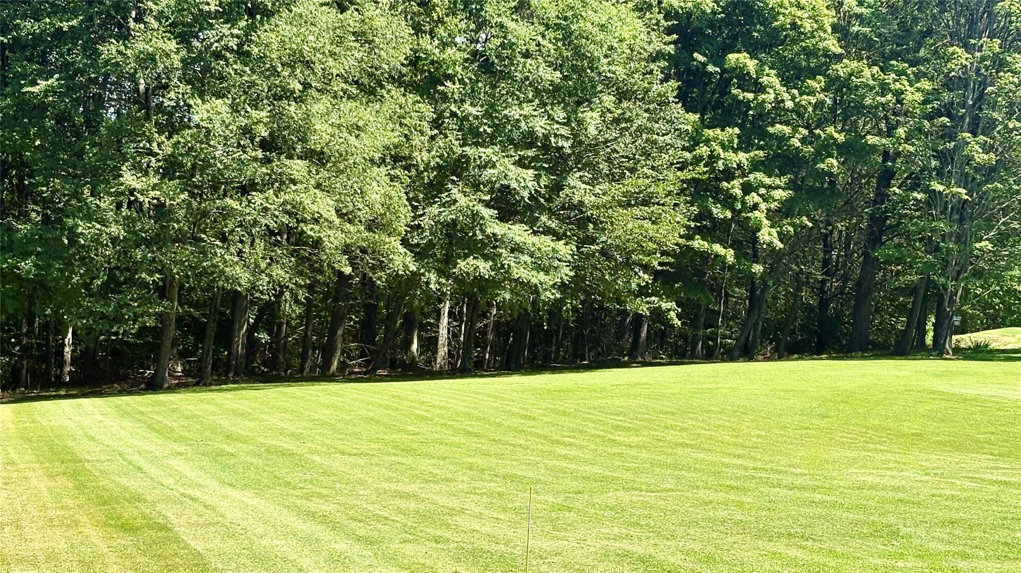Single Family White Sulphur  Sullivan County, NY 12783, MLS-875775-9