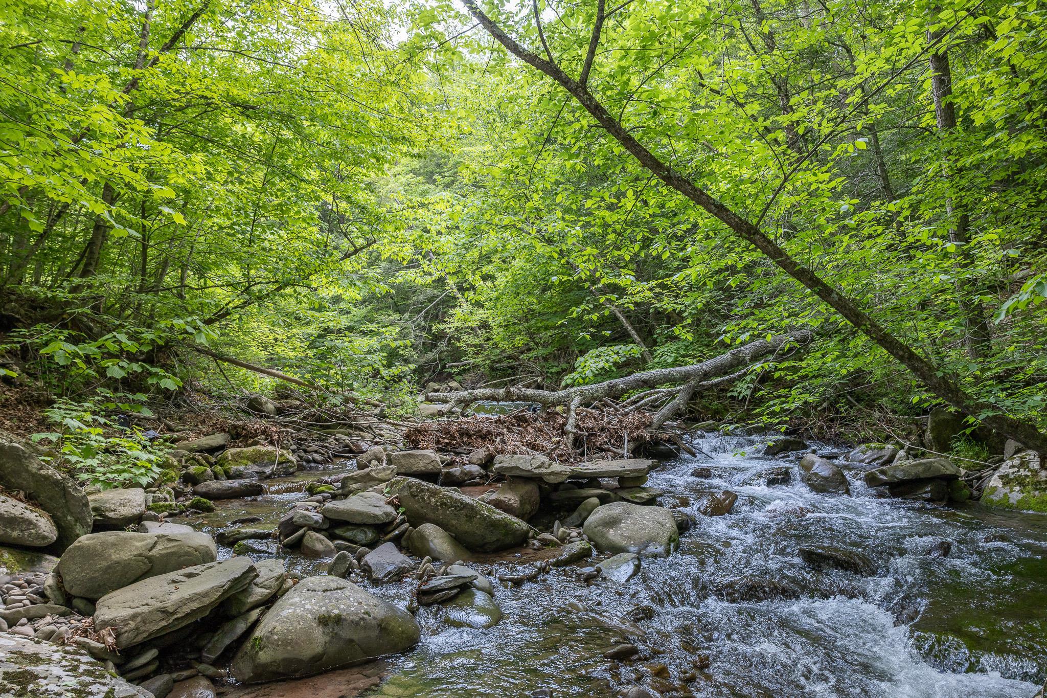 Single Family Fox Hollow  Ulster County, NY 12480, MLS-875778-4
