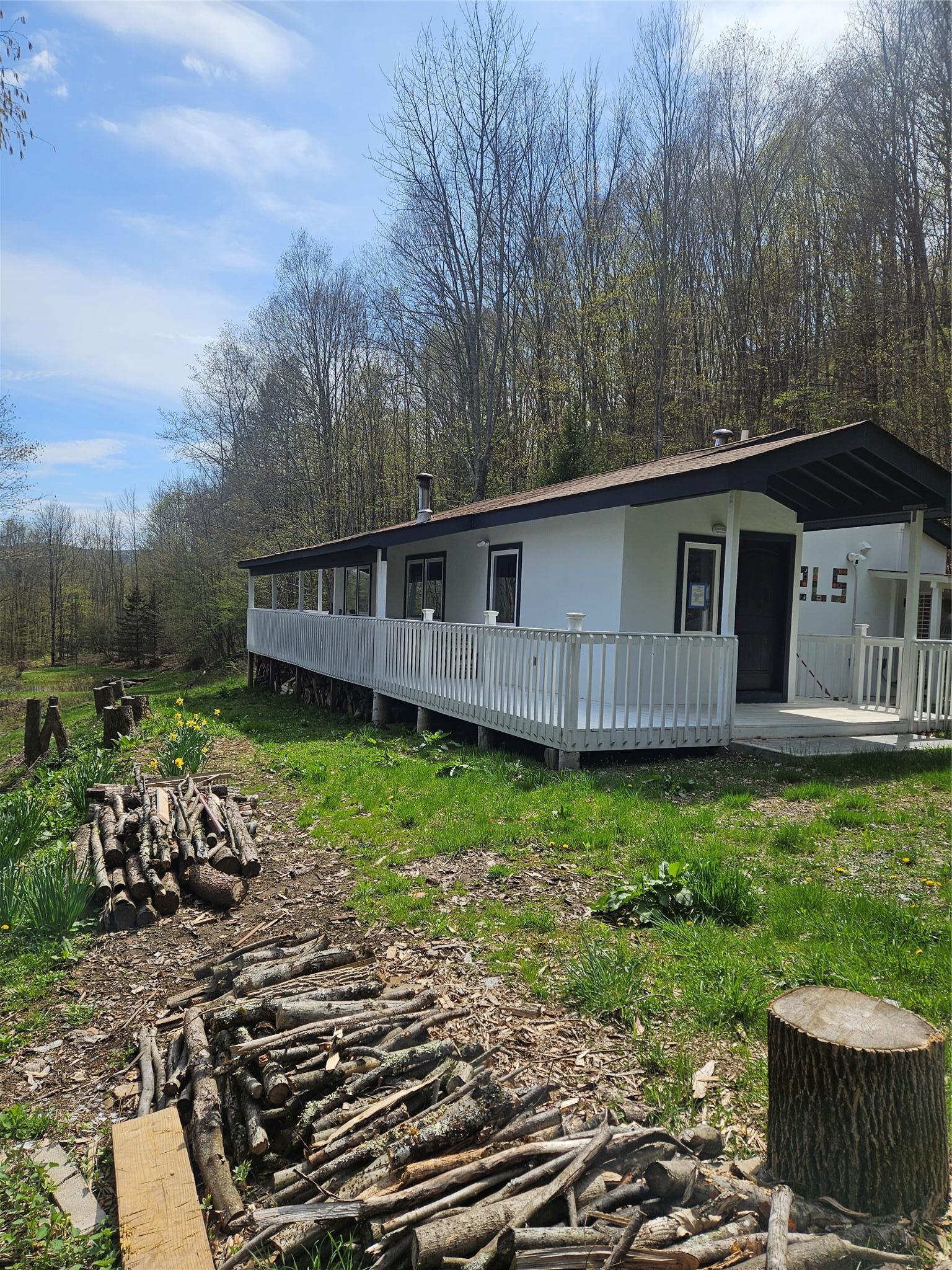 Single Family Shaver Hill  Delaware County, NY 13731, MLS-875824-27