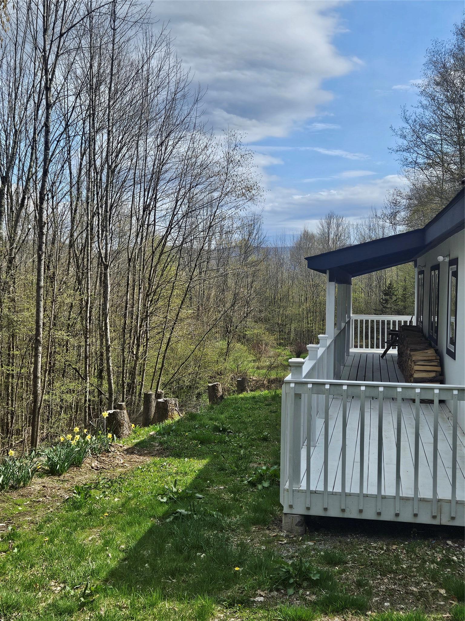 Single Family Shaver Hill  Delaware County, NY 13731, MLS-875824-28