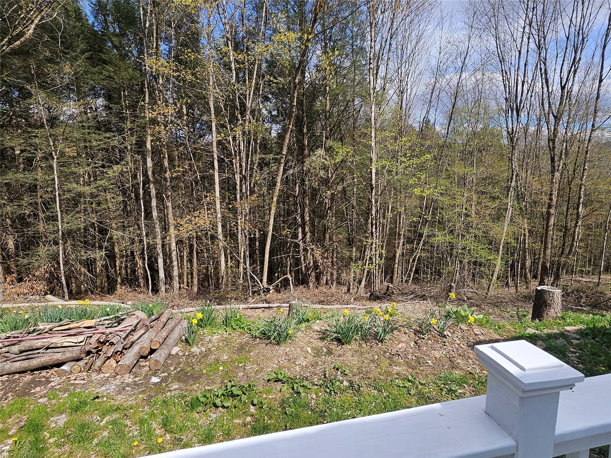 Single Family Shaver Hill  Delaware County, NY 13731, MLS-875824-29