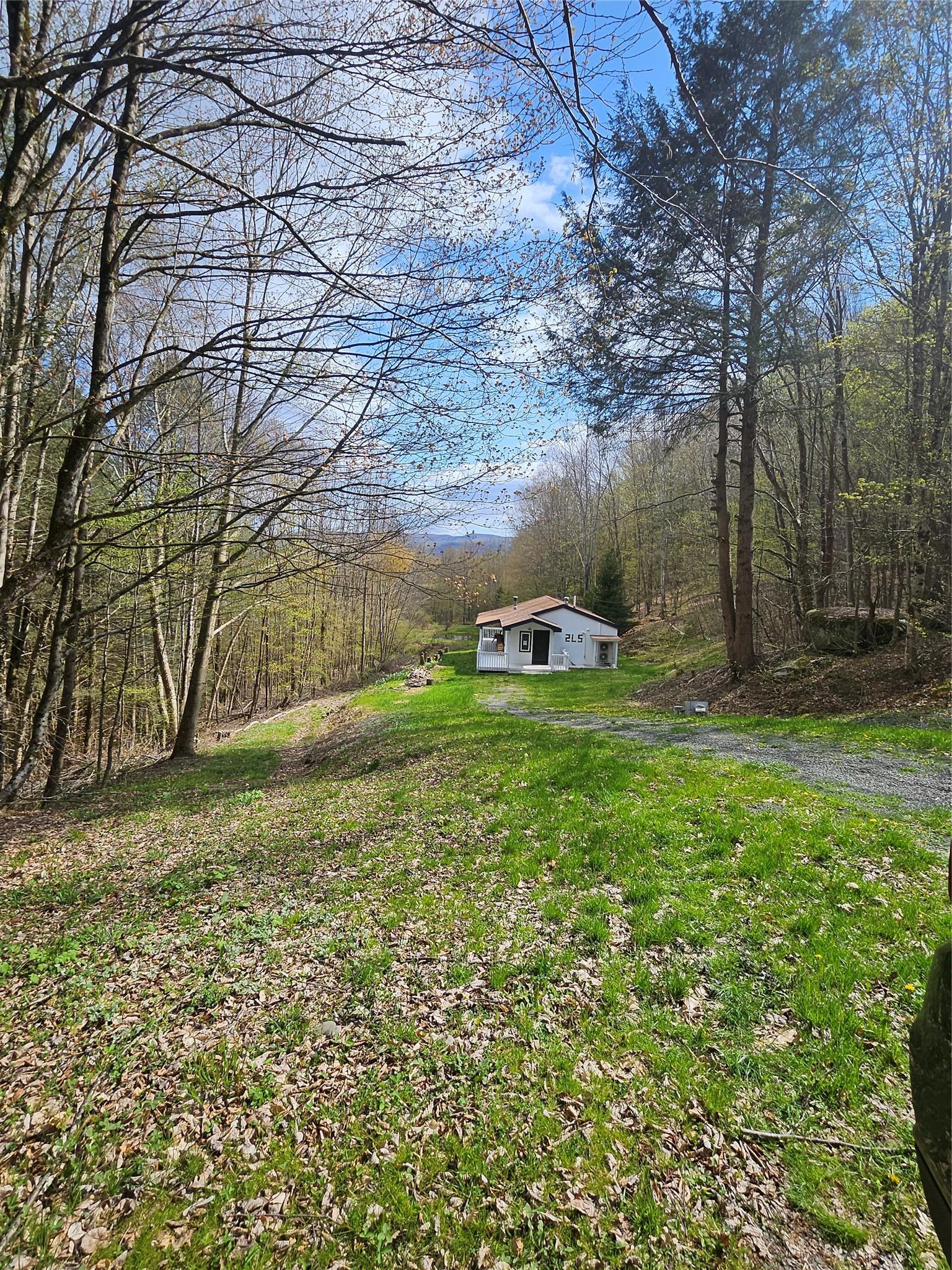 Single Family Shaver Hill  Delaware County, NY 13731, MLS-875824-31