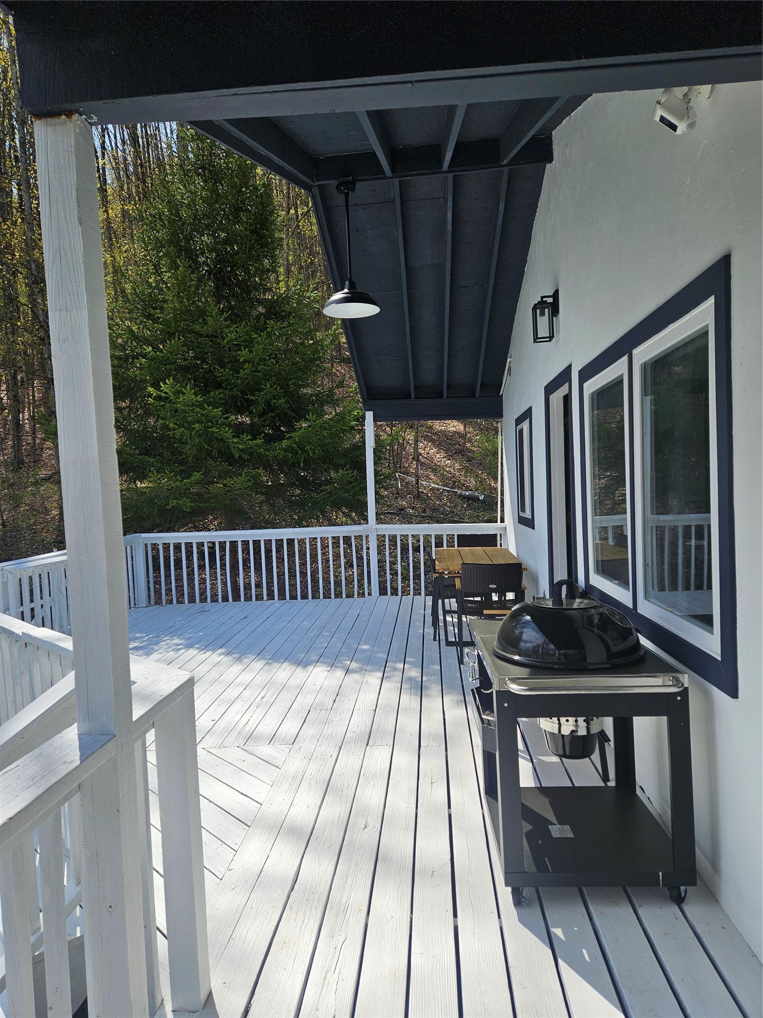 Single Family Shaver Hill  Delaware County, NY 13731, MLS-875824-4