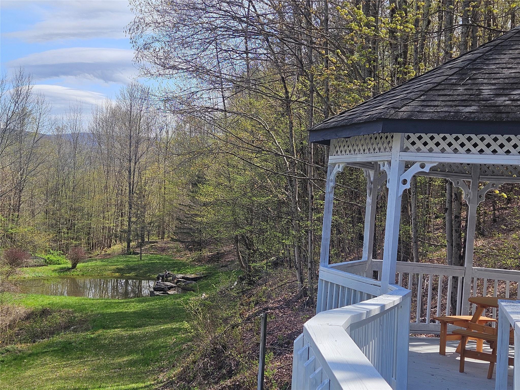 Single Family Shaver Hill  Delaware County, NY 13731, MLS-875824-6
