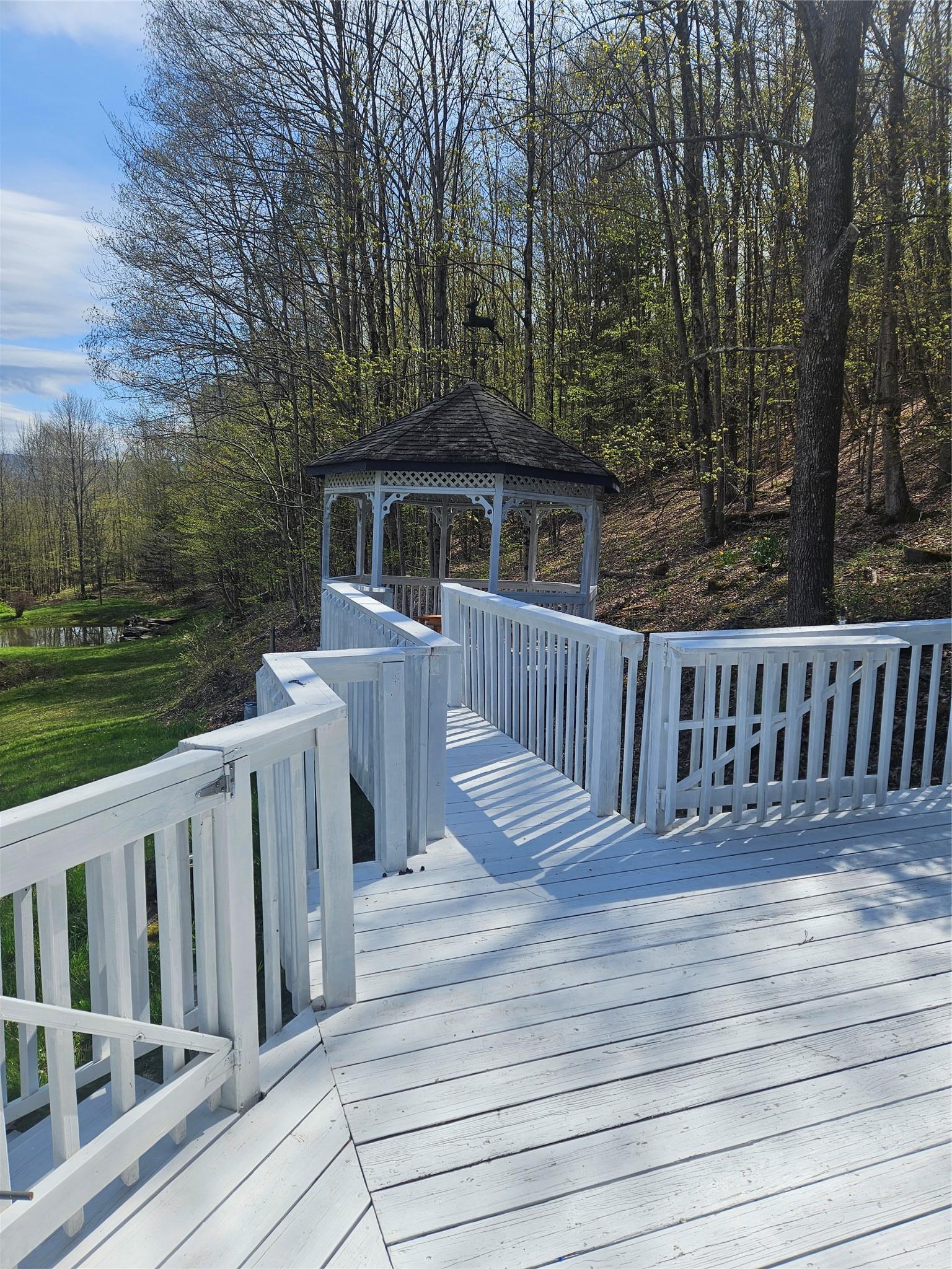Single Family Shaver Hill  Delaware County, NY 13731, MLS-875824-7