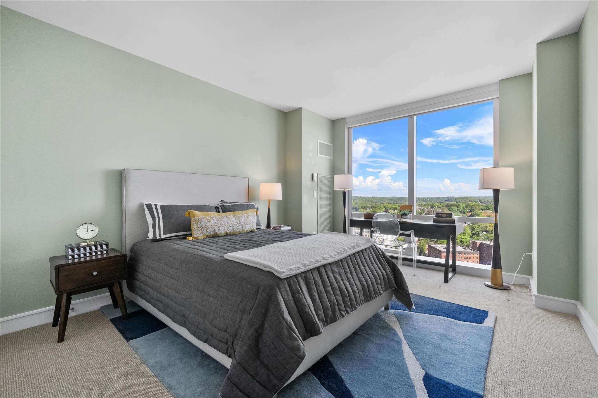 Condo Renaissance  Westchester County, NY 10601, MLS-875832-18