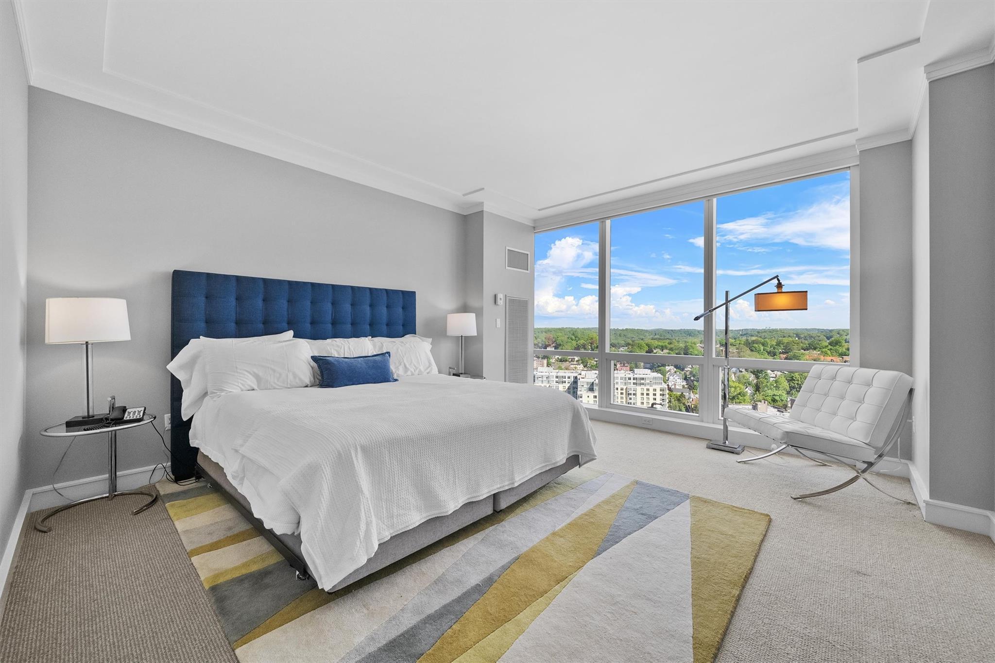 Condo Renaissance  Westchester County, NY 10601, MLS-875832-26