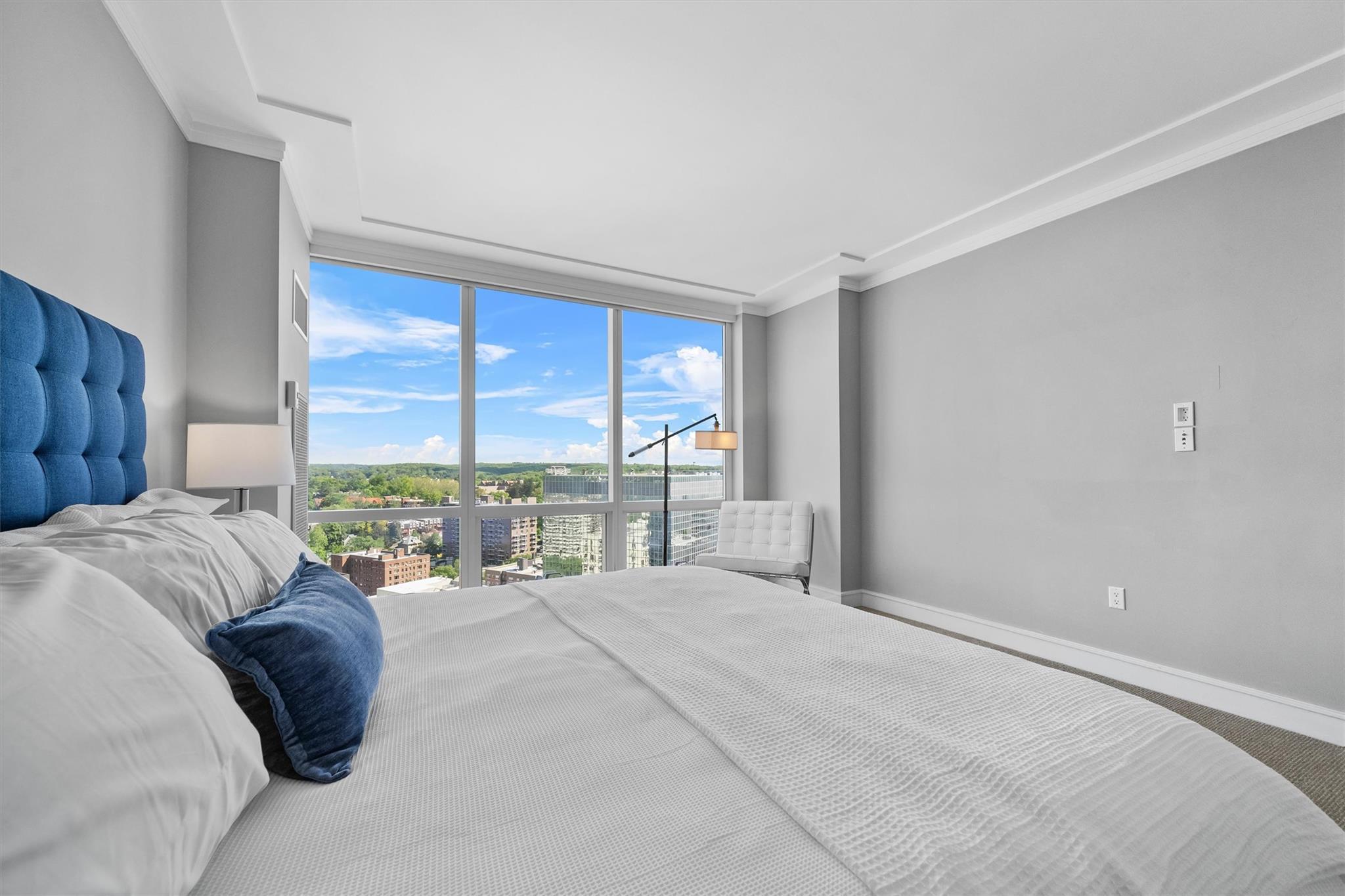 Condo Renaissance  Westchester County, NY 10601, MLS-875832-27