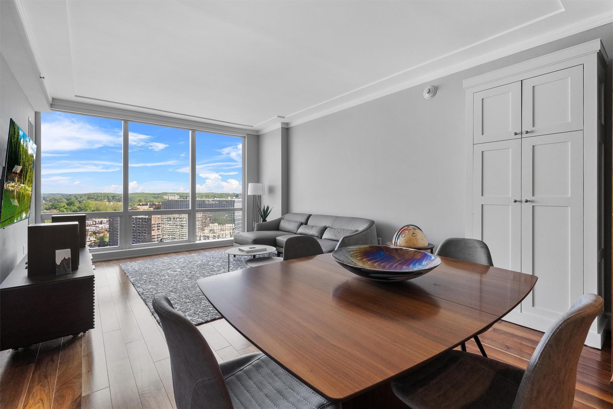 Condo Renaissance  Westchester County, NY 10601, MLS-875832-5