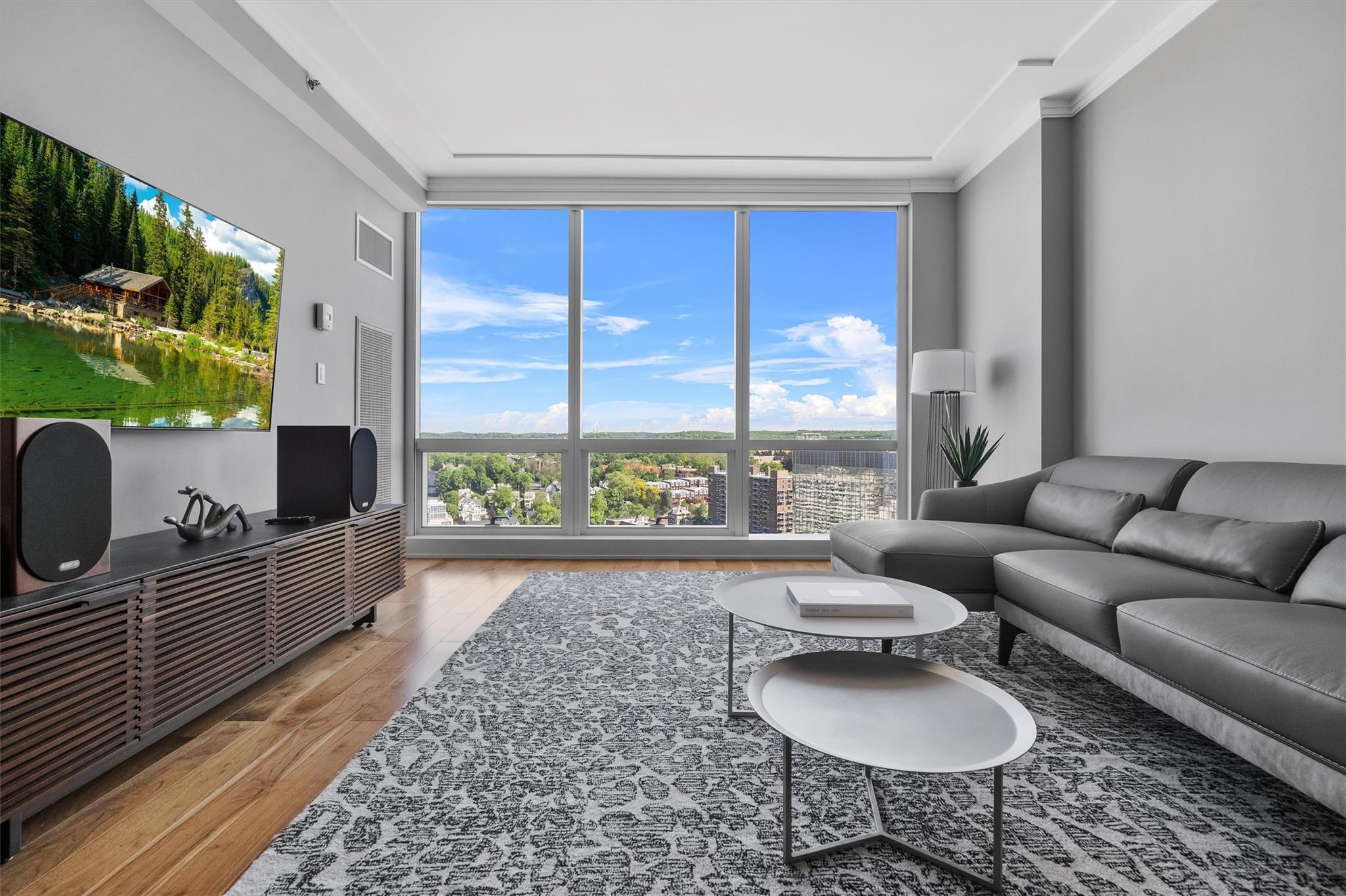 Condo Renaissance  Westchester County, NY 10601, MLS-875832-8