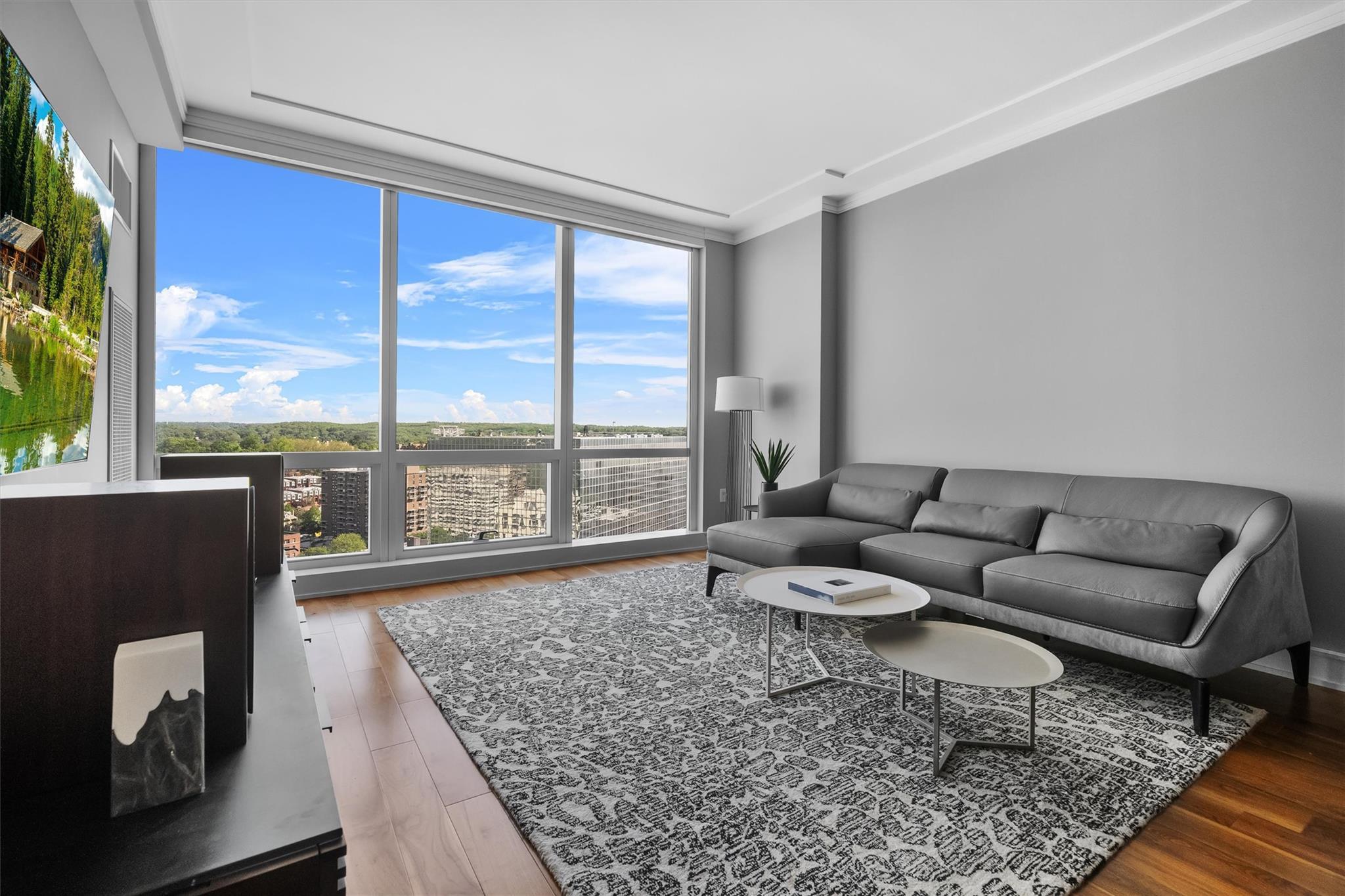 Condo Renaissance  Westchester County, NY 10601, MLS-875832-9