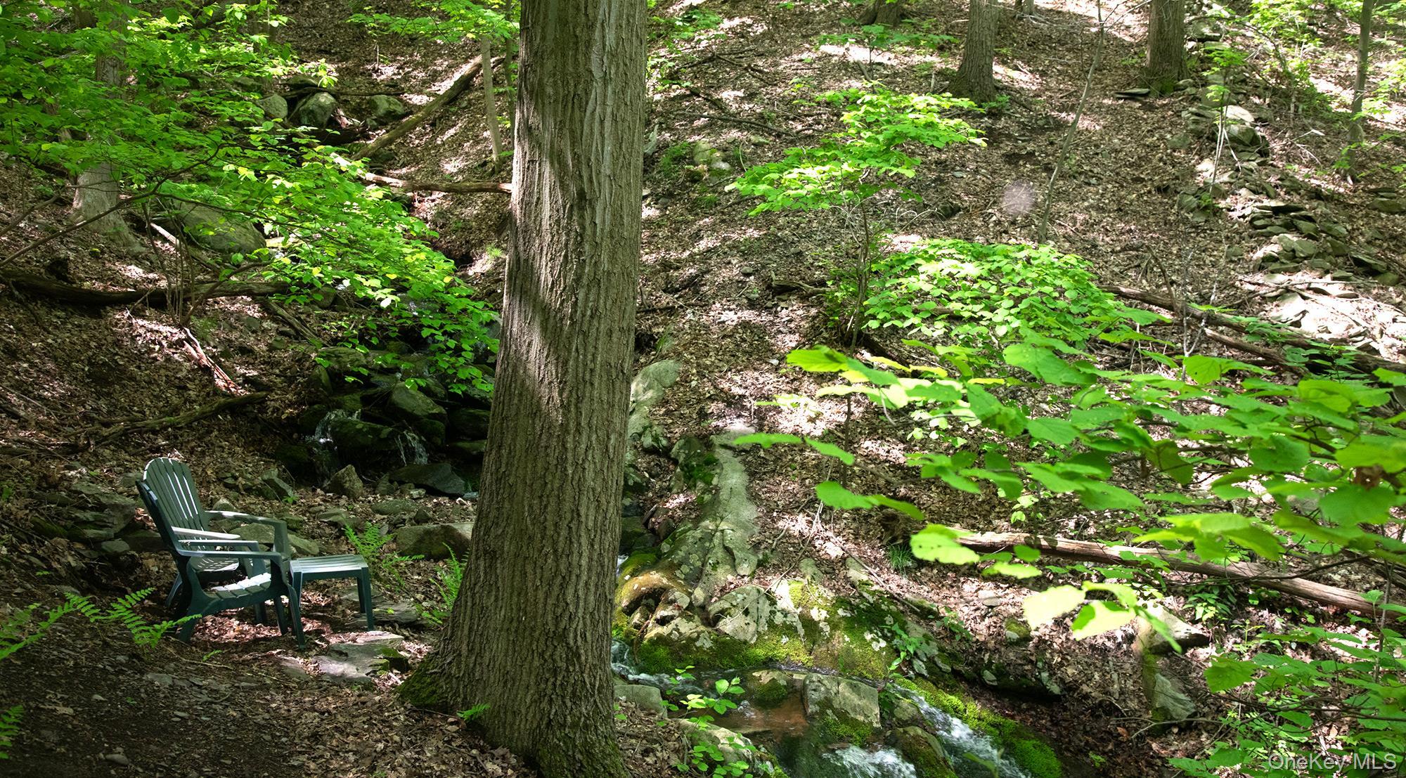 Single Family Blue Grass Dutchess County, NY 12508, MLS-875836-11