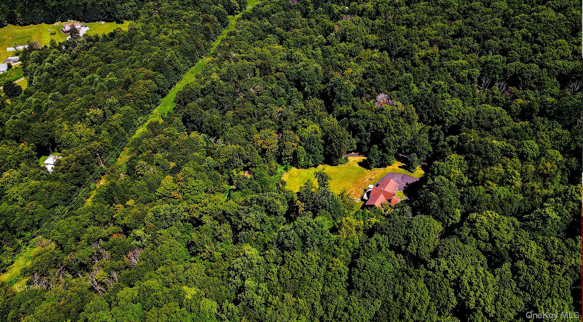 Single Family Blue Grass Dutchess County, NY 12508, MLS-875836-9