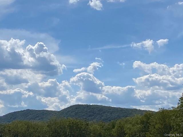 Single Family Wheeler Orange County, NY 10921, MLS-875953-10