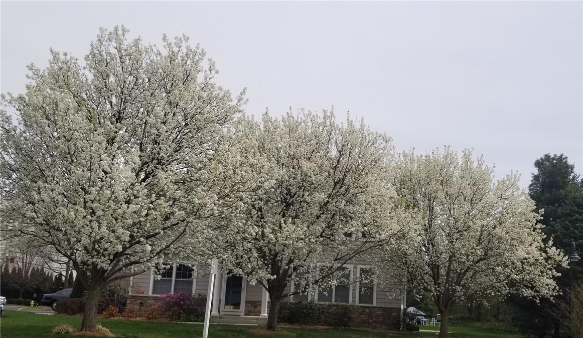 Condo Half Moon Bay  Westchester County, NY 10520, MLS-876026-32