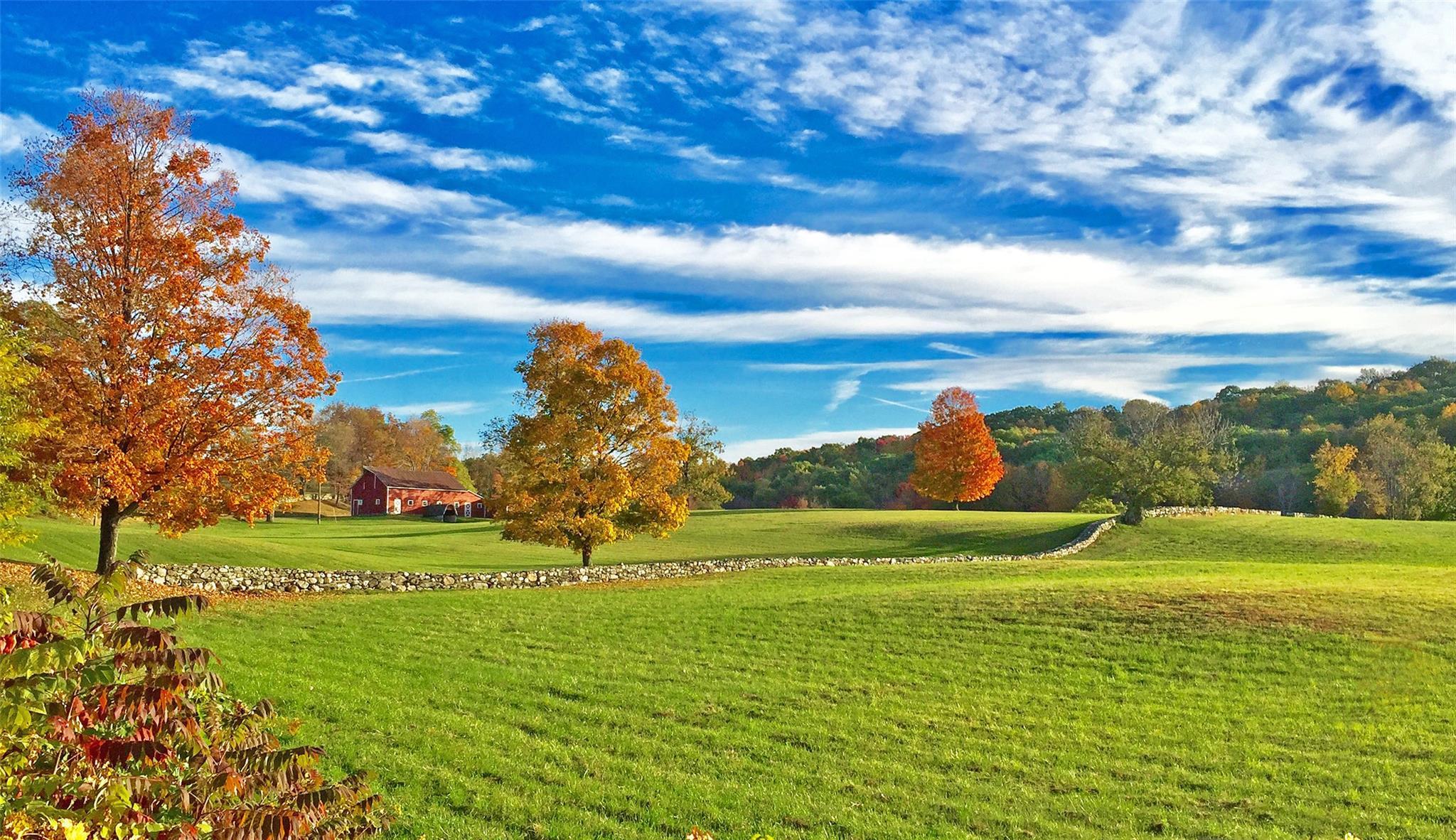 Single Family Ernest  Dutchess County, NY 12545, MLS-876070-39