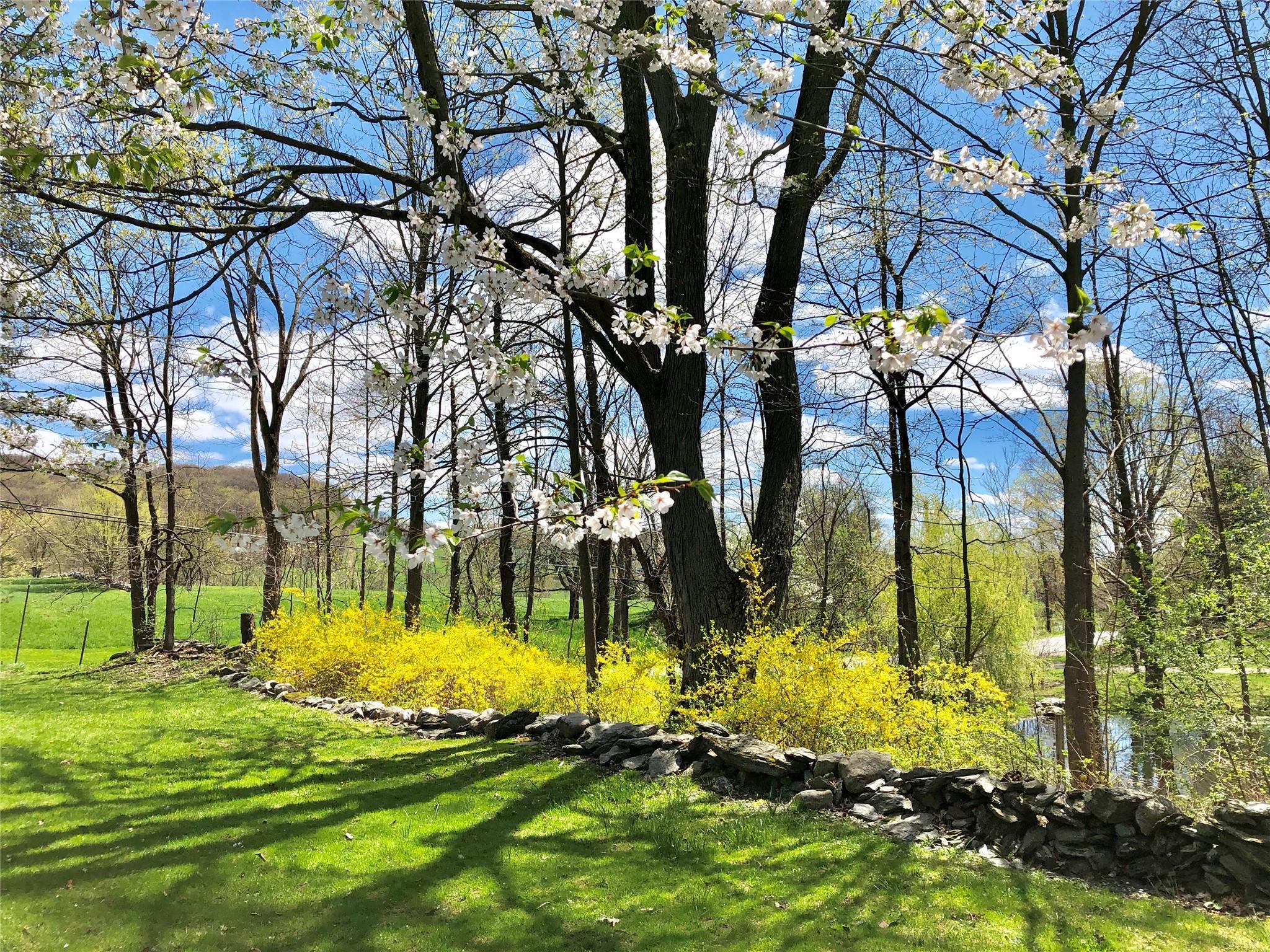 Single Family Ernest  Dutchess County, NY 12545, MLS-876070-41