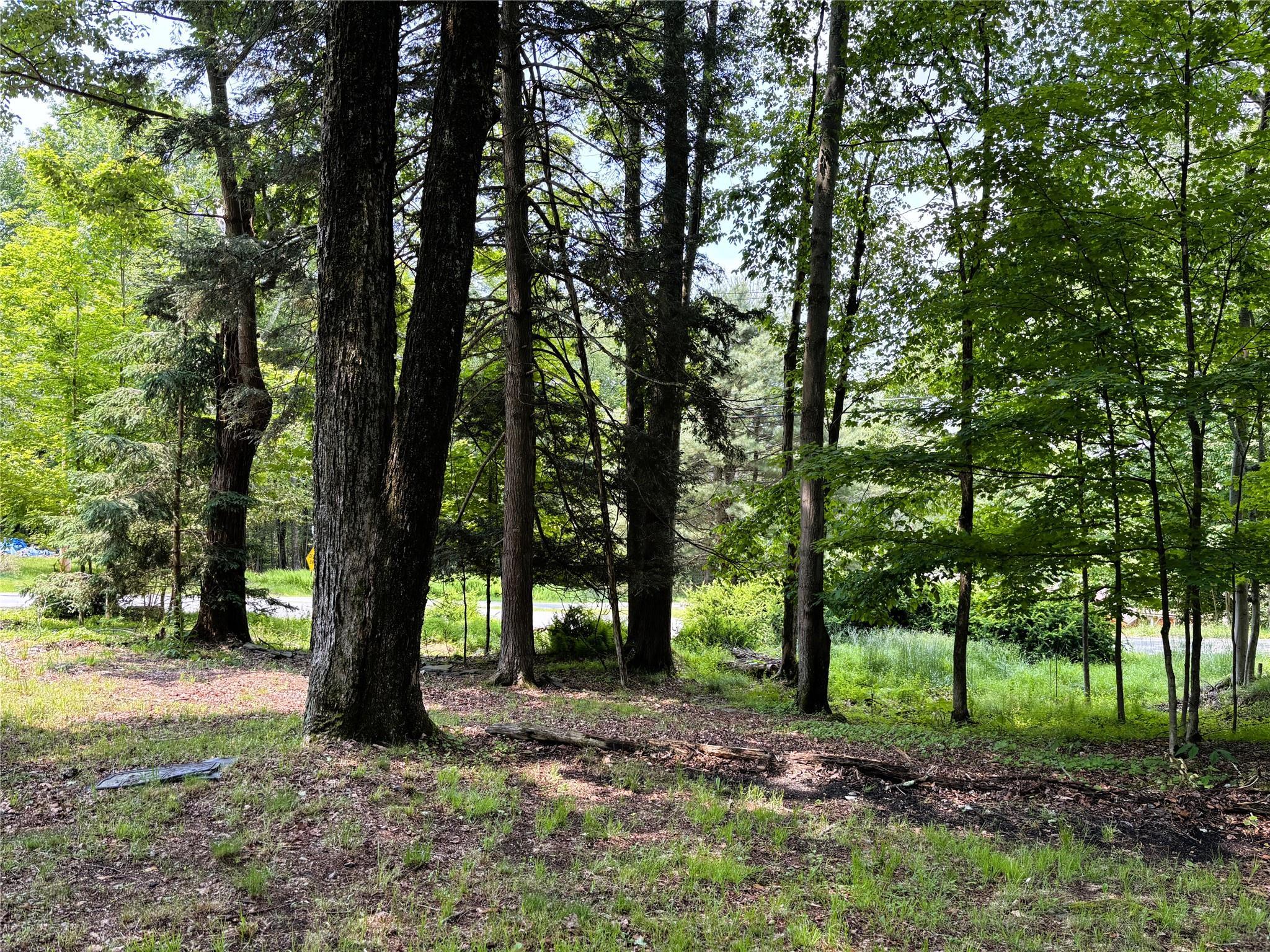 Single Family E. Tusten  Sullivan County, NY 12778, MLS-876174-26