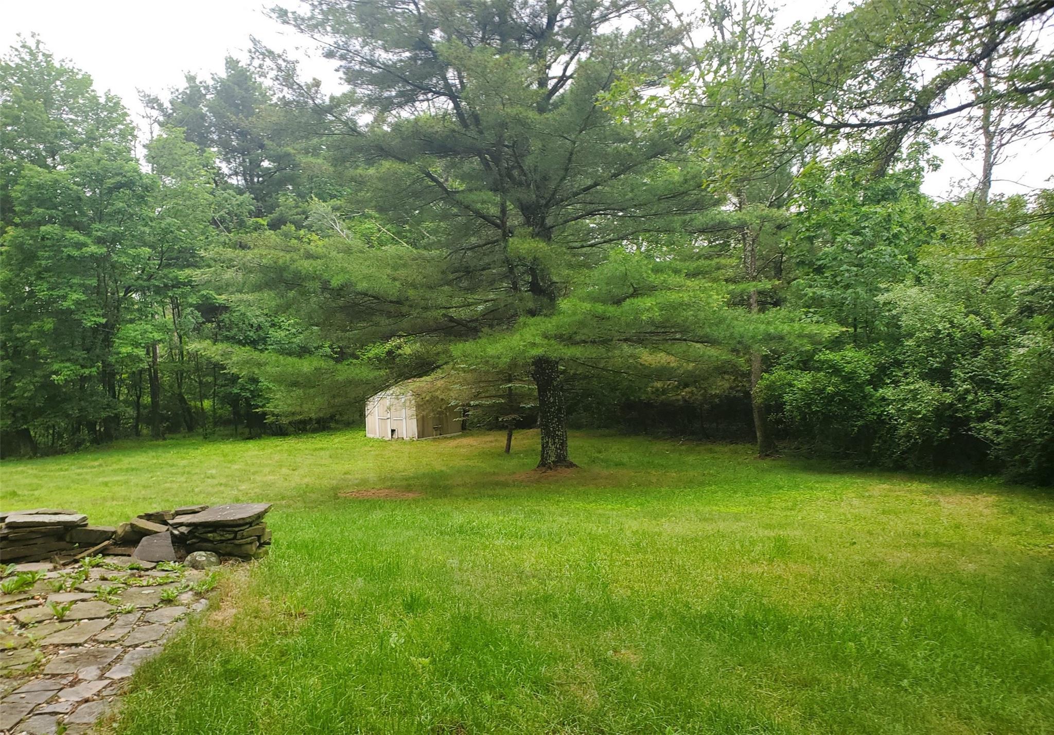 Single Family Fire Tower  Sullivan County, NY 12721, MLS-876307-4