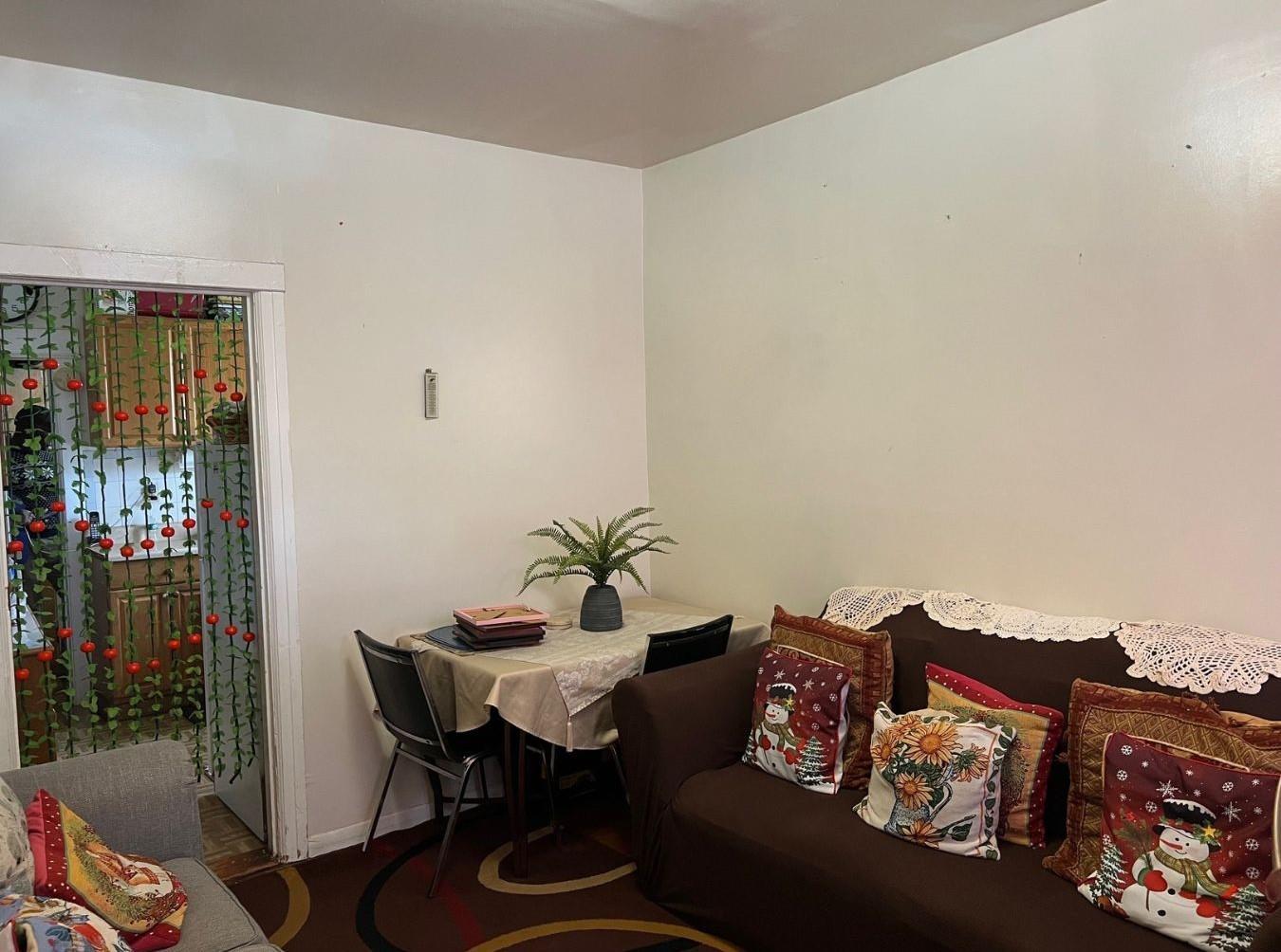 Single Family Matthews  Brooklyn, NY 11236, MLS-876601-4