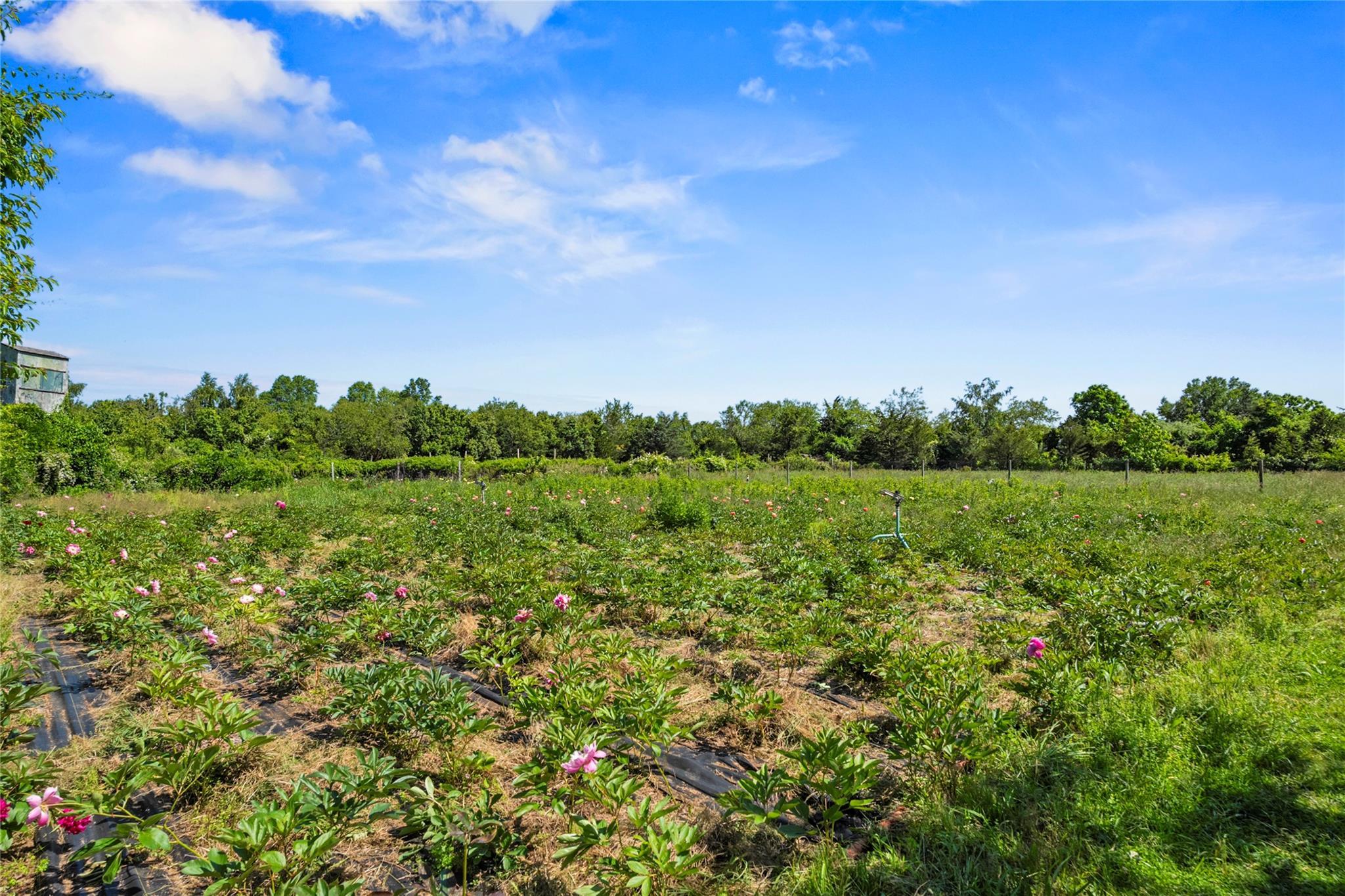 Single Family Sound  Suffolk County, NY 11933, MLS-876774-28