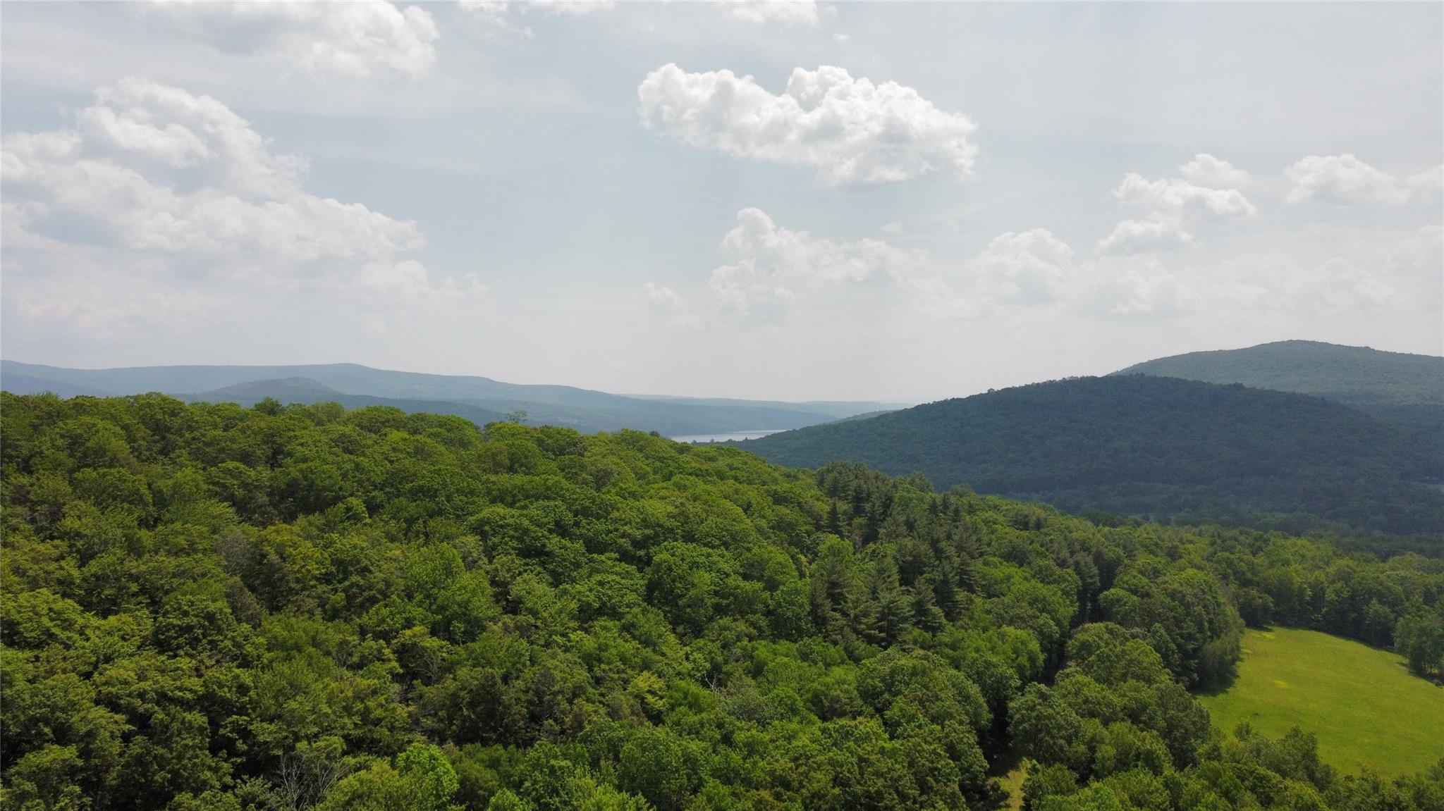Single Family Main  Sullivan County, NY 12740, MLS-876899-28