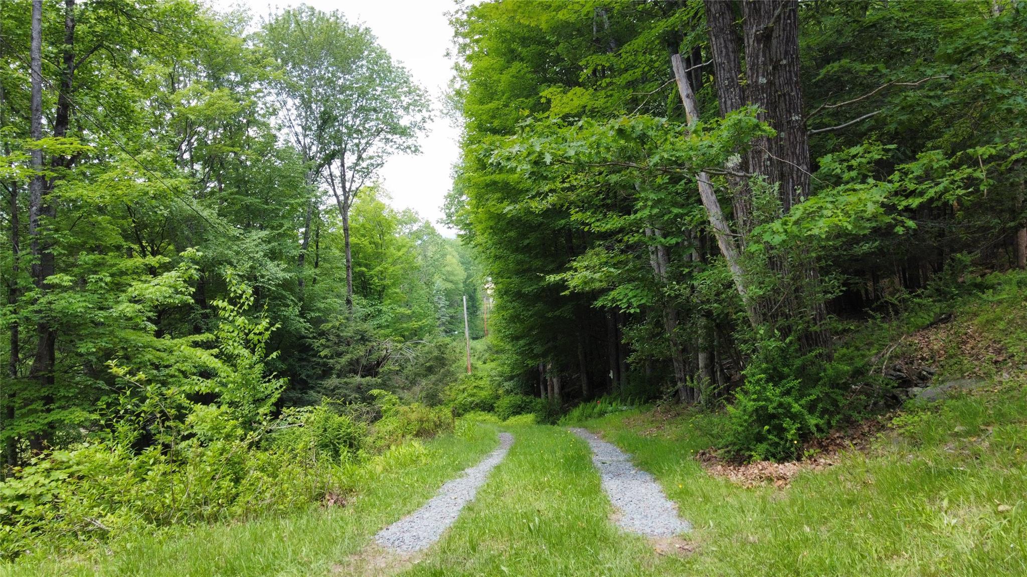 Single Family Main  Sullivan County, NY 12740, MLS-876899-29