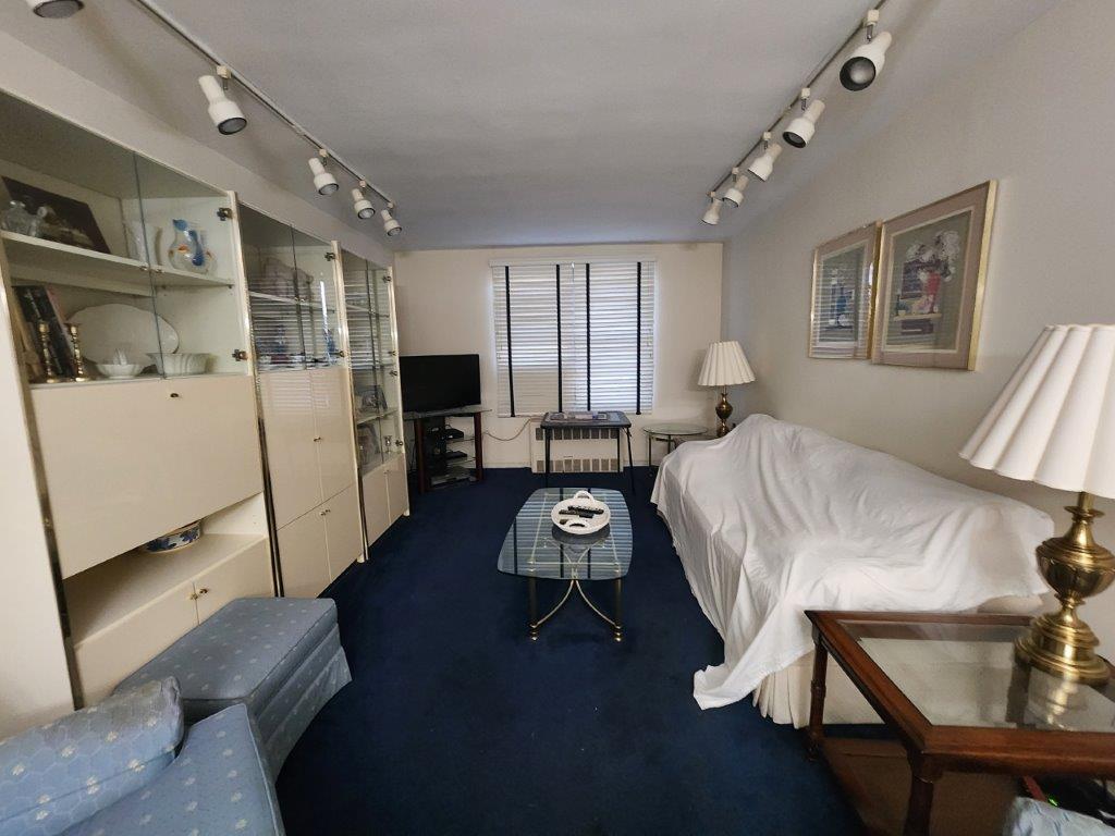 Coop Plumb 1st  Brooklyn, NY 11229, MLS-876922-2