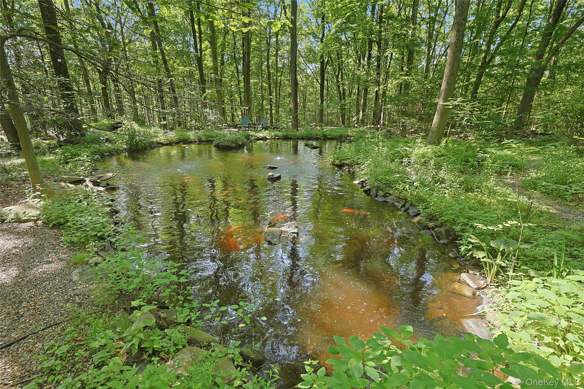 Single Family Cox Orange County, NY 10950, MLS-877098-35