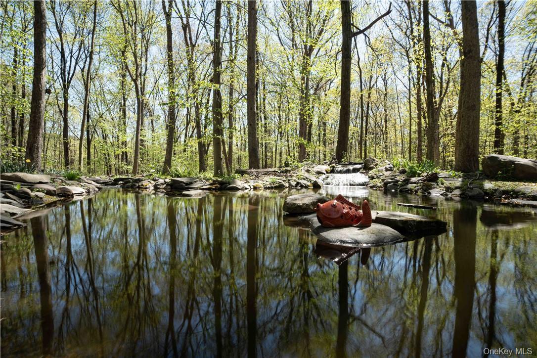 Single Family Cox Orange County, NY 10950, MLS-877098-41