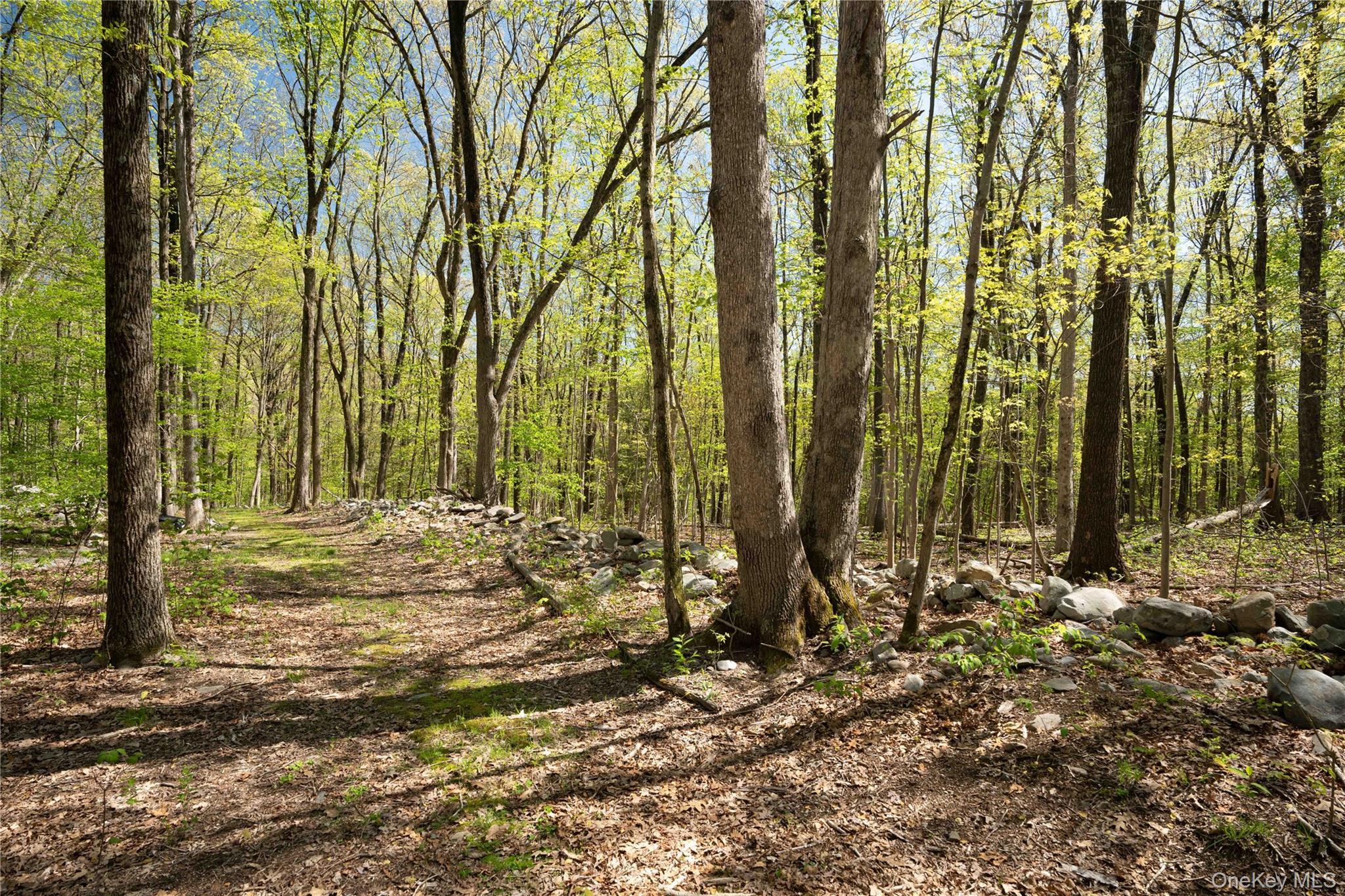 Single Family Cox Orange County, NY 10950, MLS-877098-45