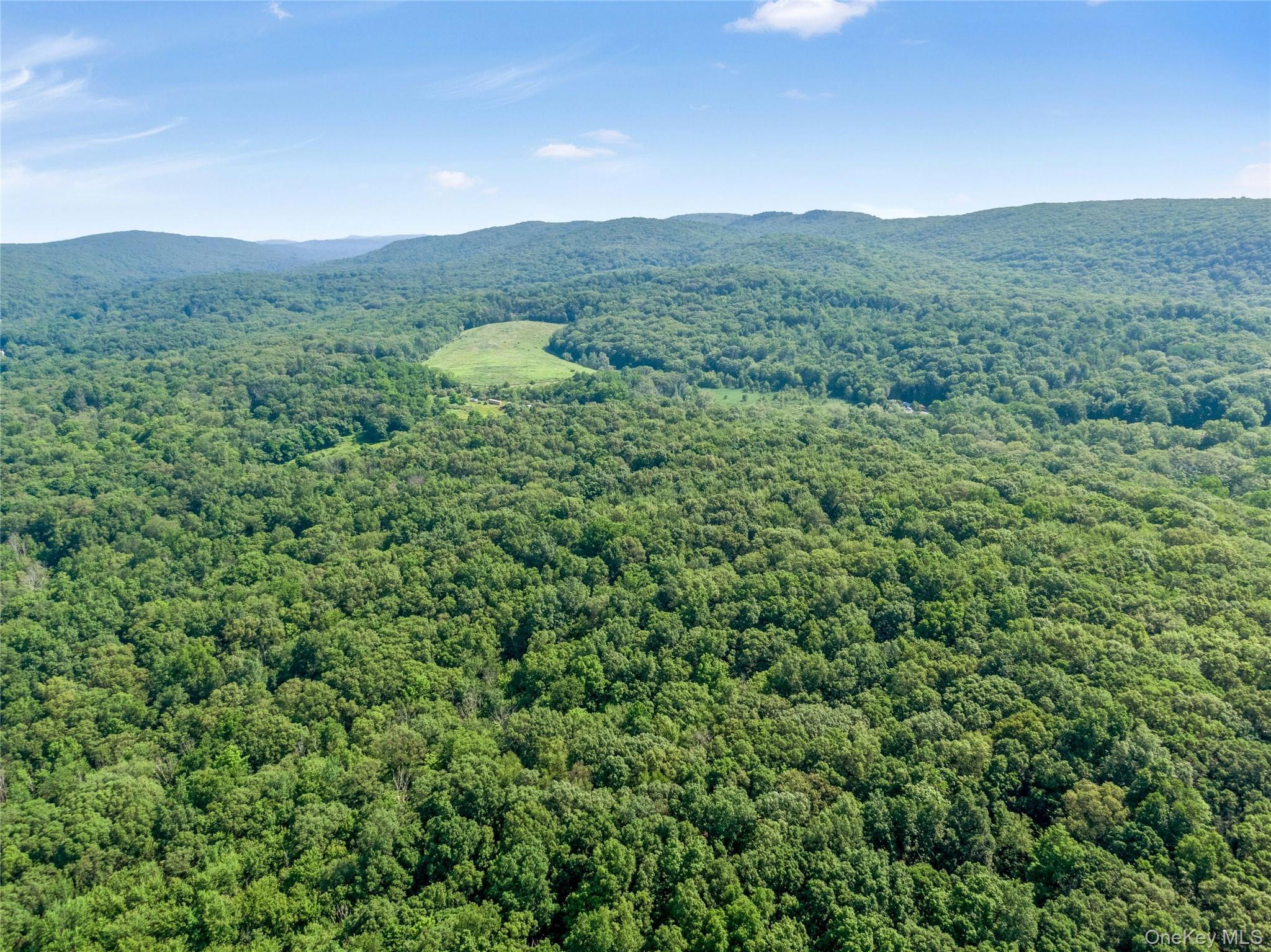 Single Family Cox  Orange County, NY 10950, MLS-877098-47