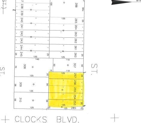 Single Family Clocks  Nassau County, NY 11758, MLS-877185-2