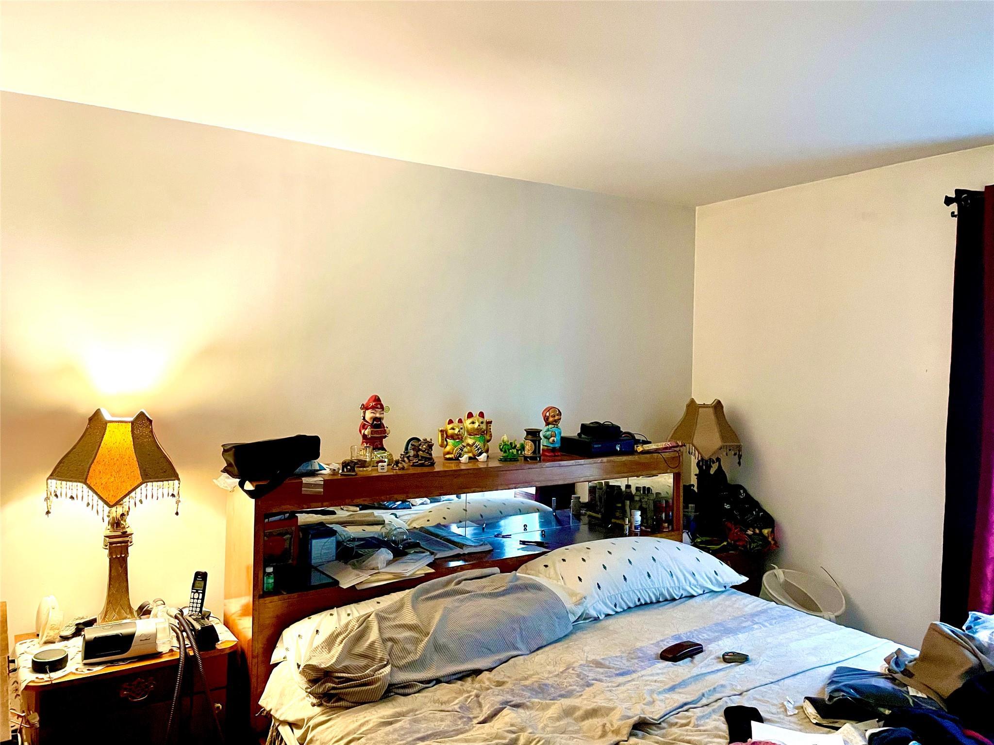 Single Family Snediker  Brooklyn, NY 11207, MLS-877235-14