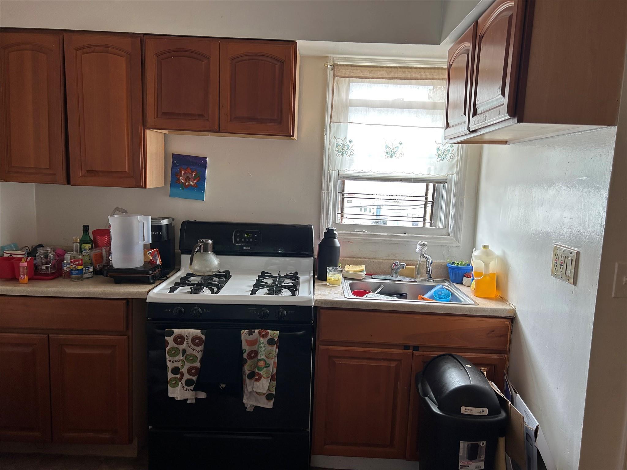 Single Family Pitkin  Queens, NY 11417, MLS-877284-10