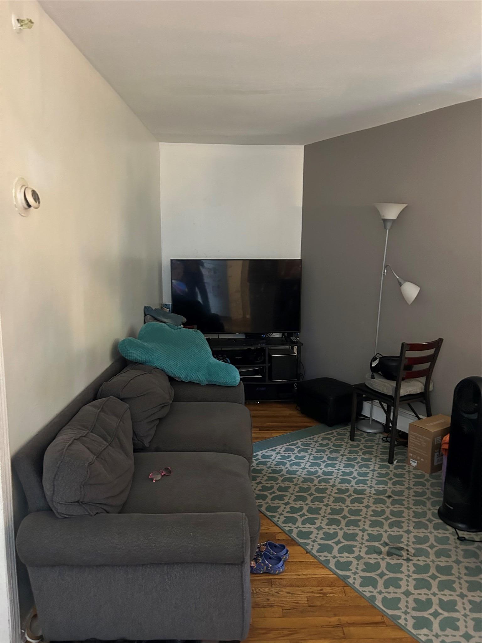 Single Family Pitkin  Queens, NY 11417, MLS-877284-7