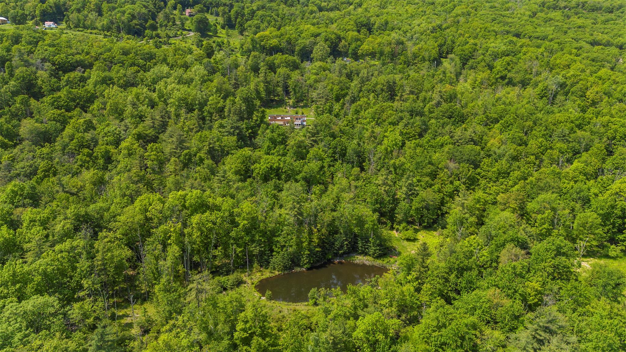 Single Family Freeman Avery  Ulster County, NY 12461, MLS-877355-7