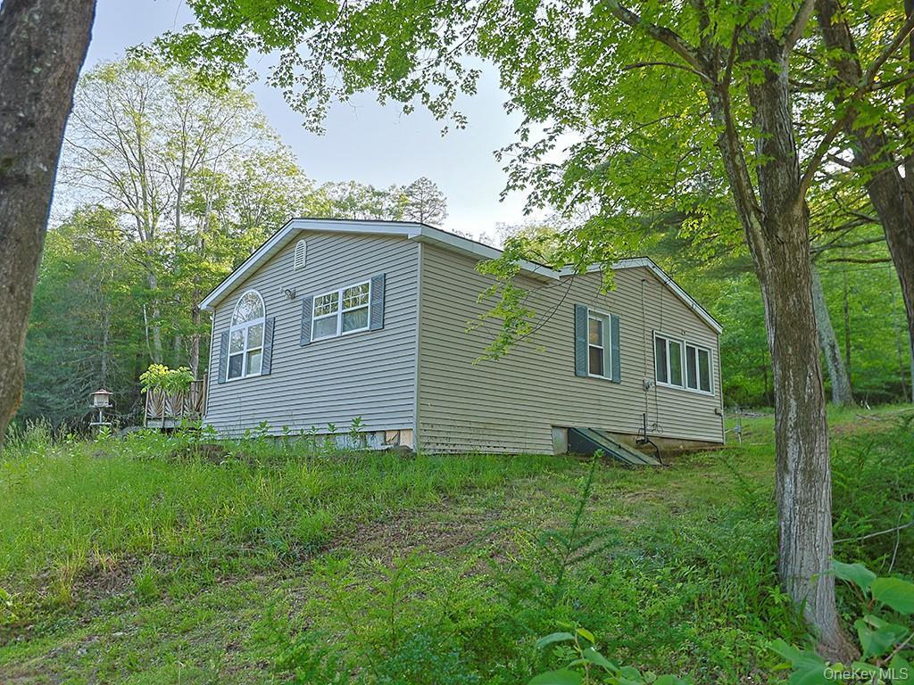 Single Family Budd  Sullivan County, NY 12790, MLS-877424-3