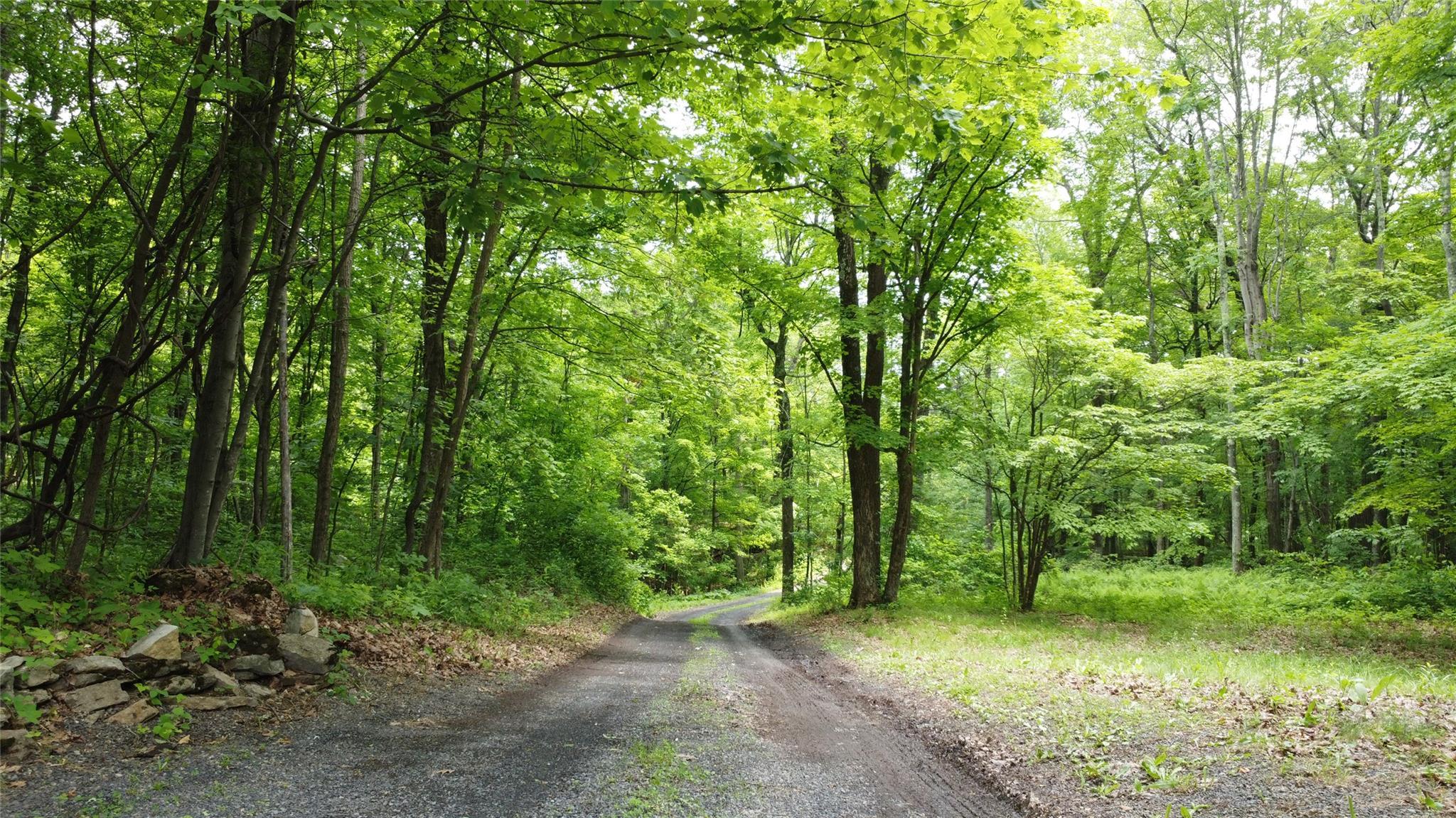 Single Family Valley  Greene County, NY 12015, MLS-877502-3