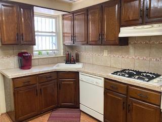 Single Family 41st  Queens, NY 11377, MLS-877753-8