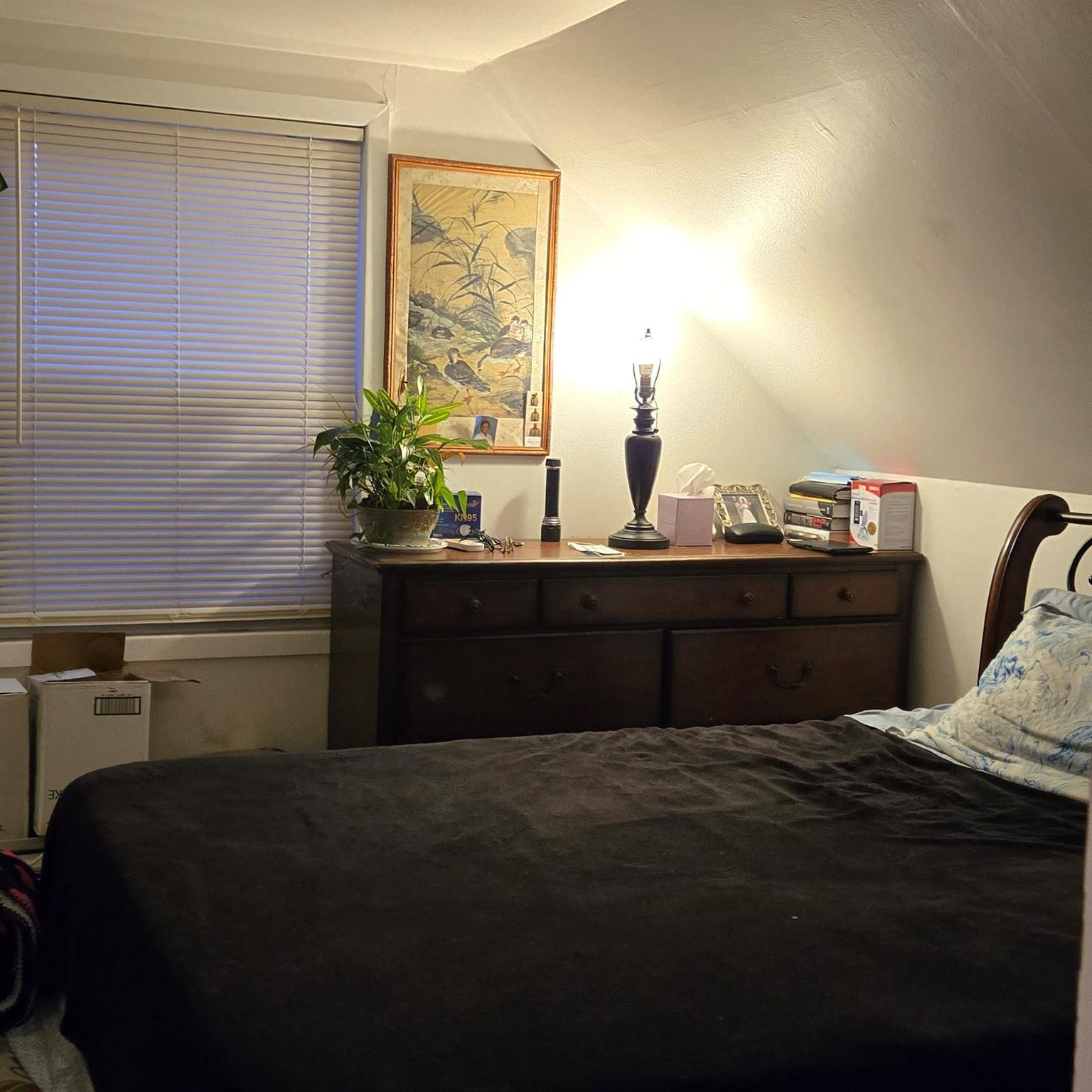 Single Family Dauntless  Nassau County, NY 11003, MLS-877899-20